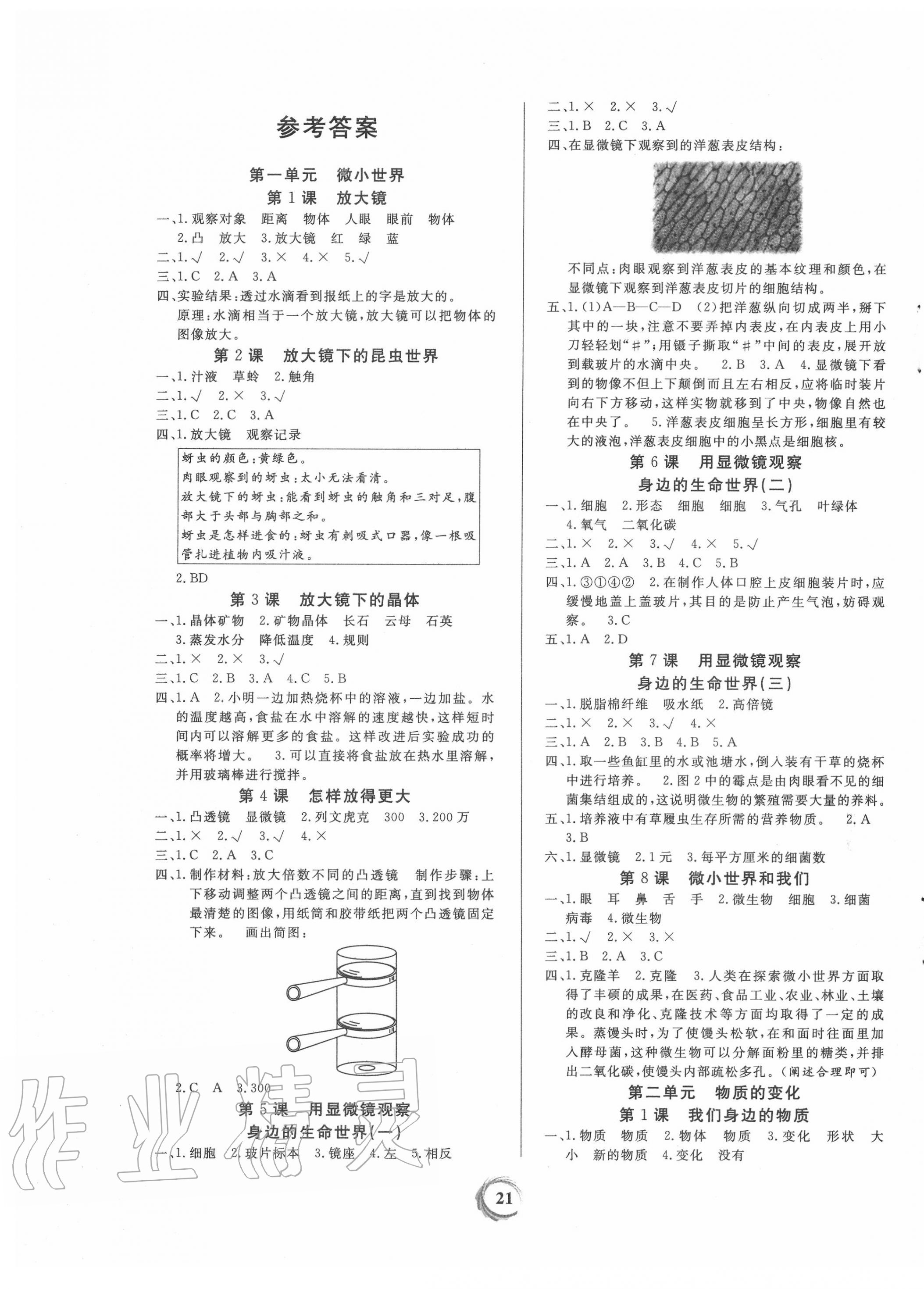 2020年家庭作业六年级科学下册教科版 第1页