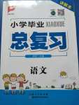2020年小學畢業總復習語文湖北科學技術出版社