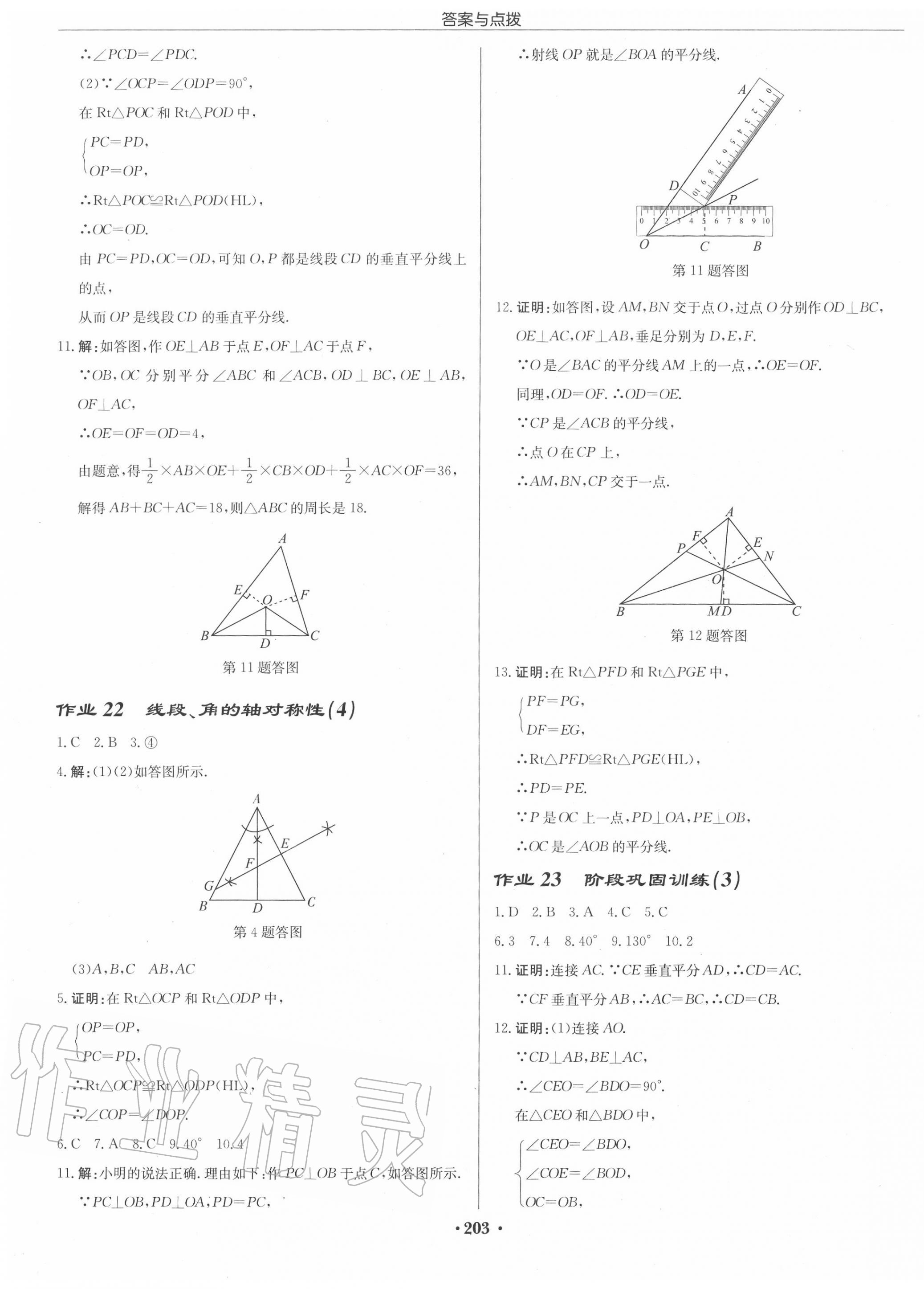 2020年启东中学作业本八年级数学上册江苏版徐州专版 第13页