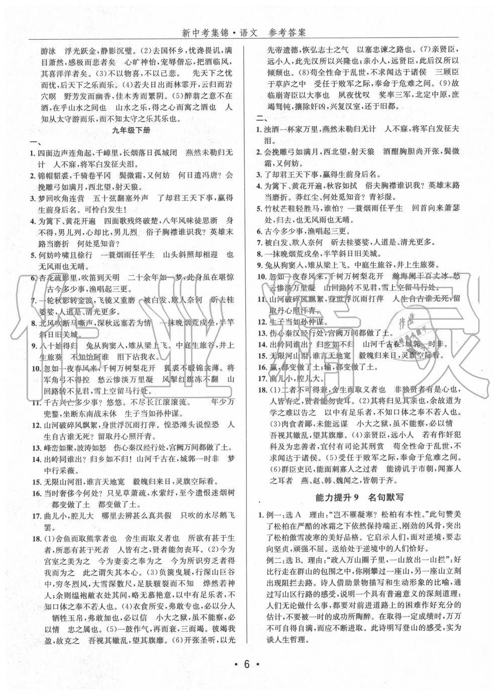 2020年新中考集锦全程复习训练语文 第6页