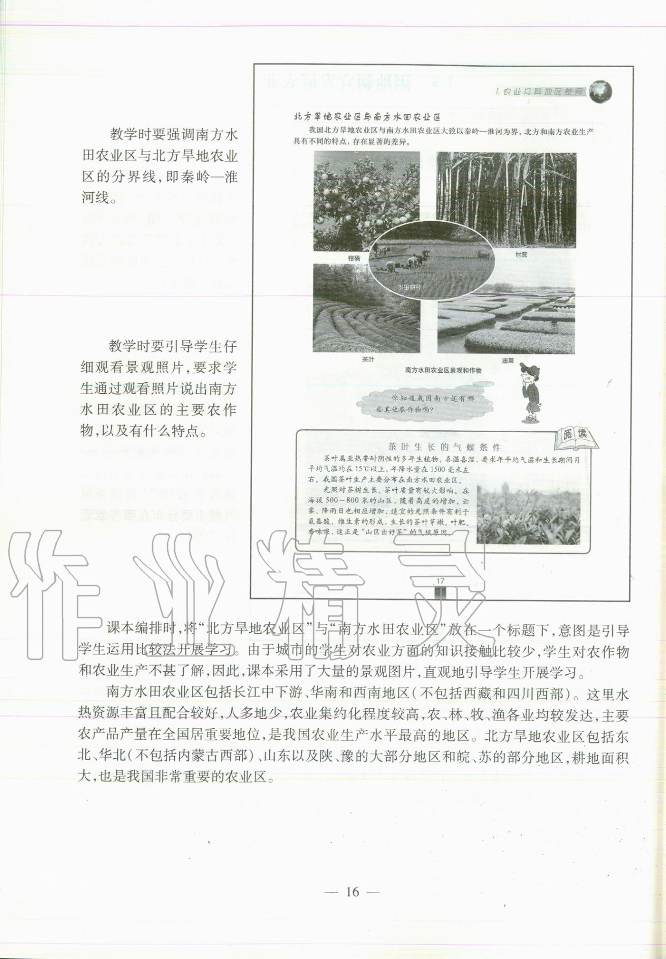 2020年教材課本七年級地理第二學期滬教版 參考答案第16頁