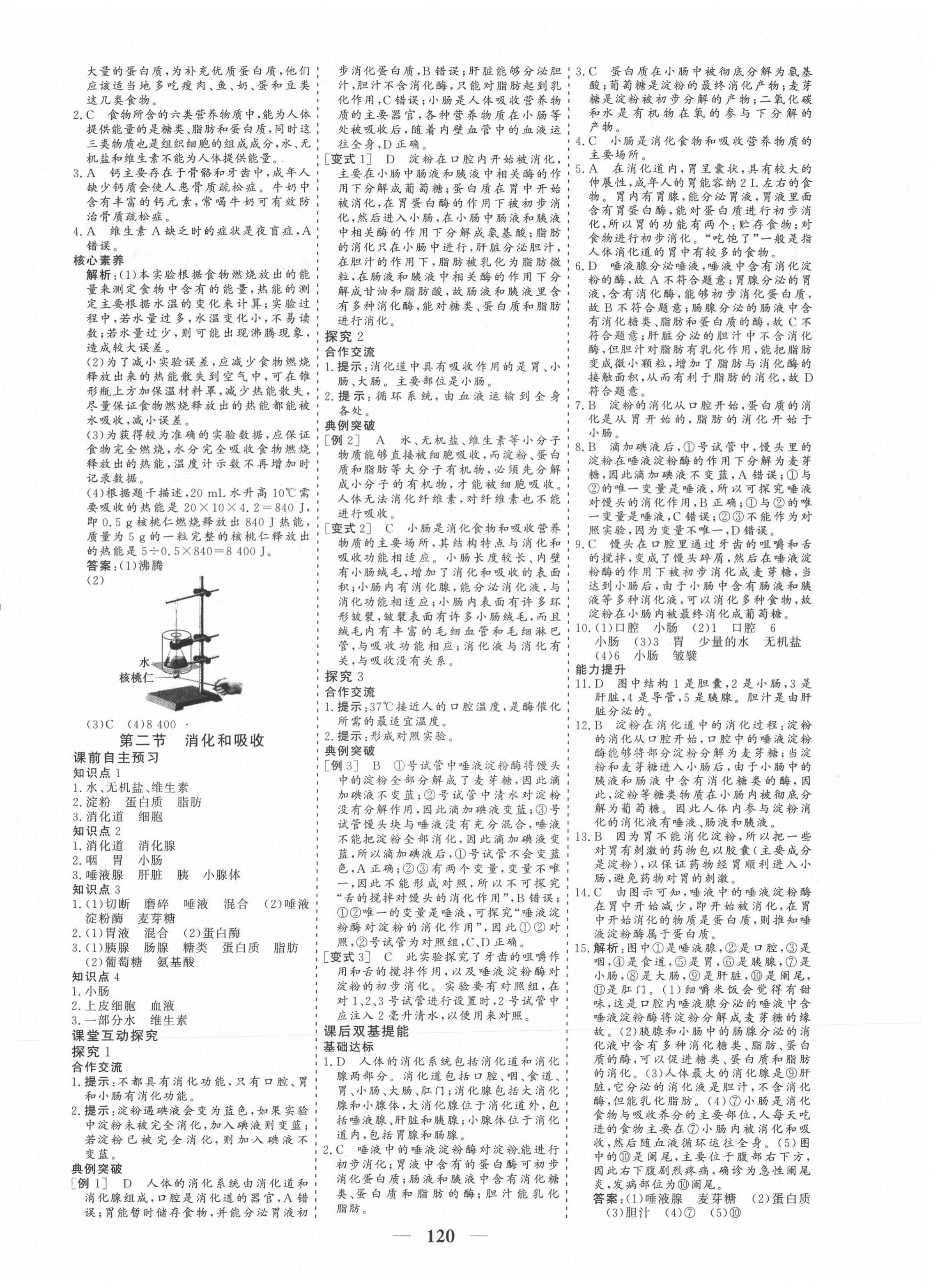 2020年優化探究七年級生物下冊人教版 參考答案第4頁