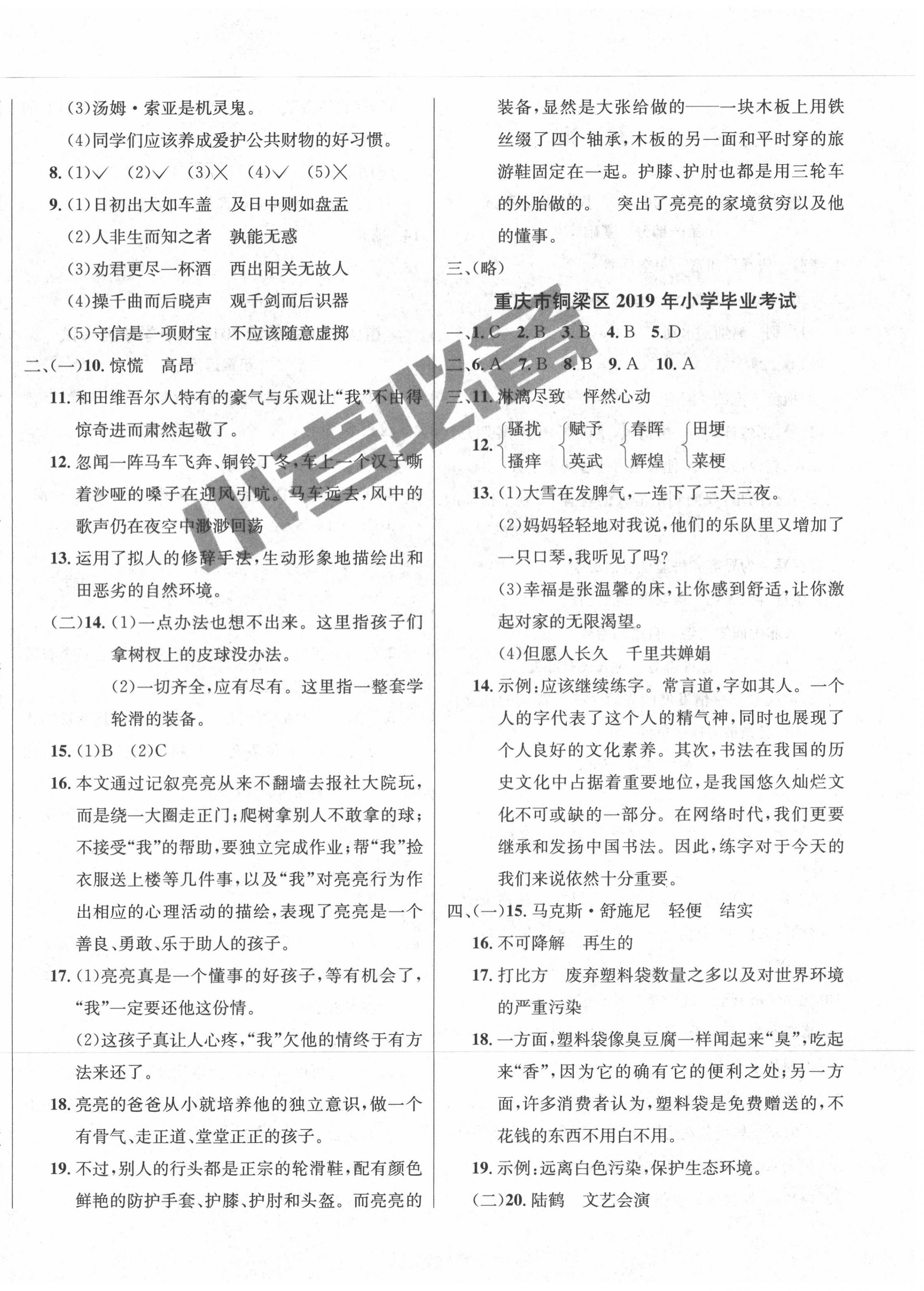 2020年小考必備小升初畢業(yè)考試真題卷語文 第4頁