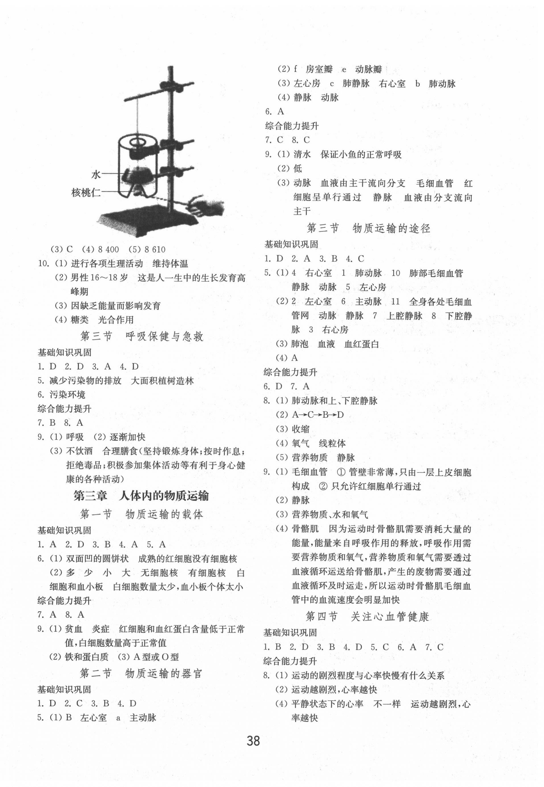 2020年初中基础训练七年级生物学下册济南版山东教育出版社 参考答案第2页