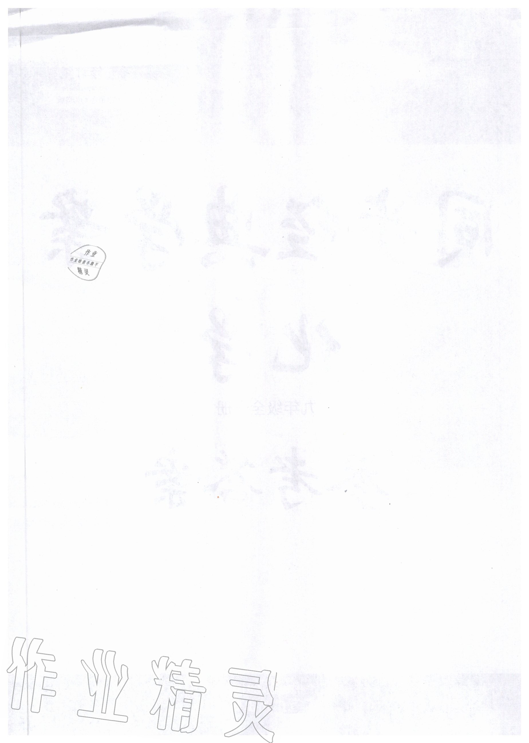 2020年同步經典學案九年級化學全一冊人教版 第2頁