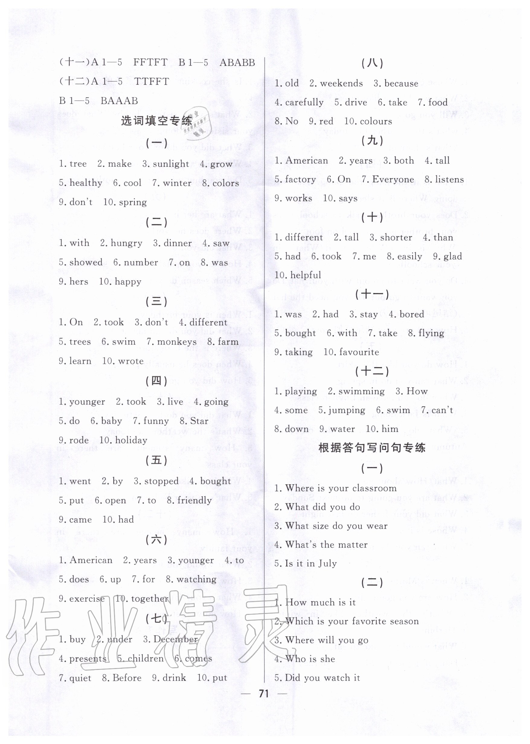 2020年東莞狀元坊小考高效復(fù)習(xí)卷英語 第13頁