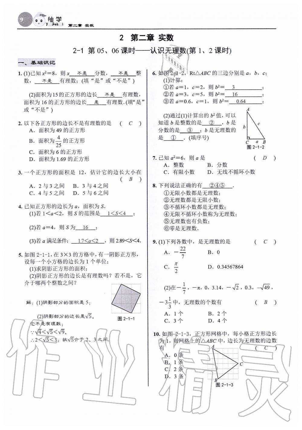 2020年慧學智評八年級數學上冊北師大版 參考答案第11頁