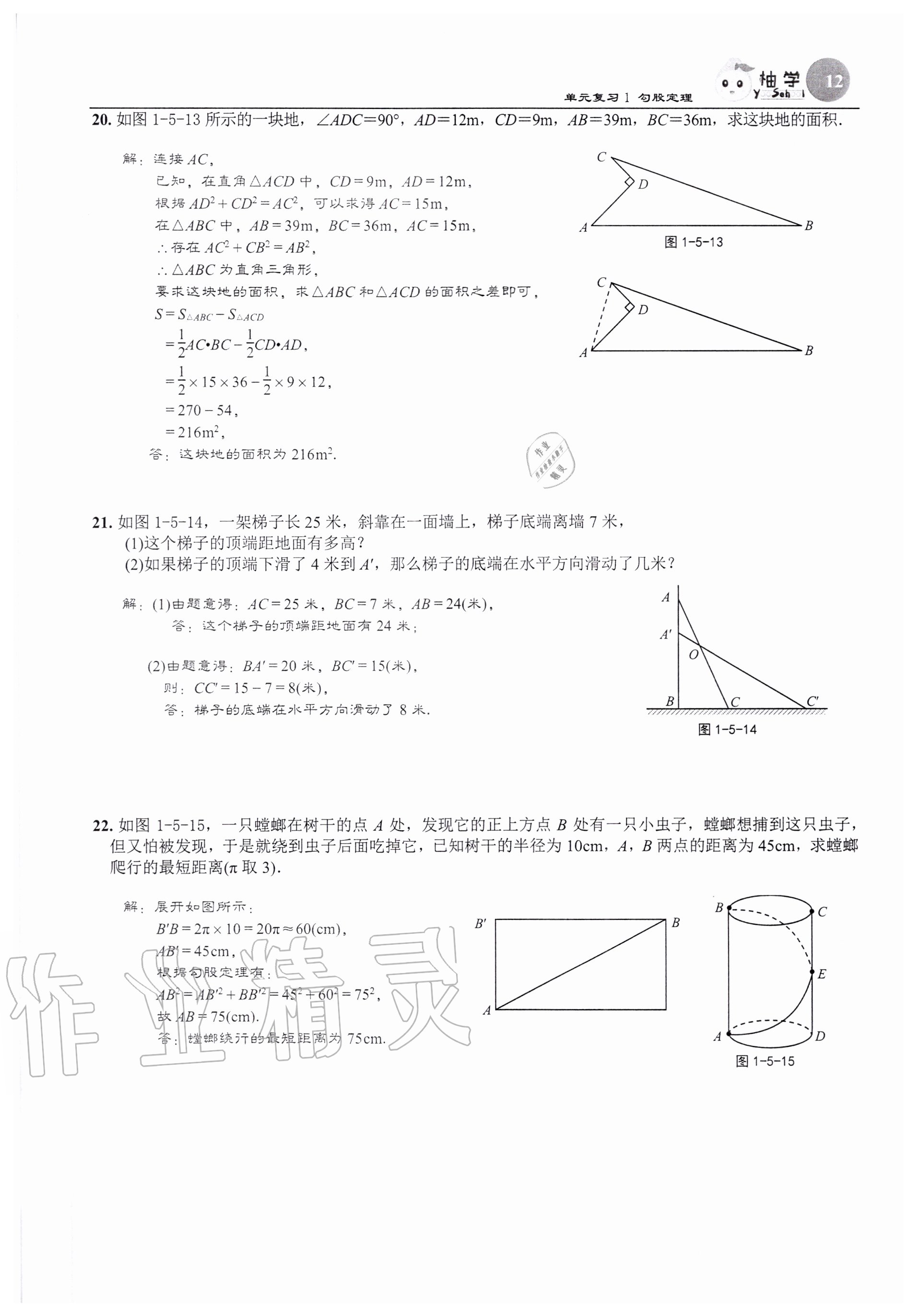 2020年課時(shí)分層作業(yè)本八年級(jí)數(shù)學(xué)上冊(cè)北師大版 參考答案第12頁