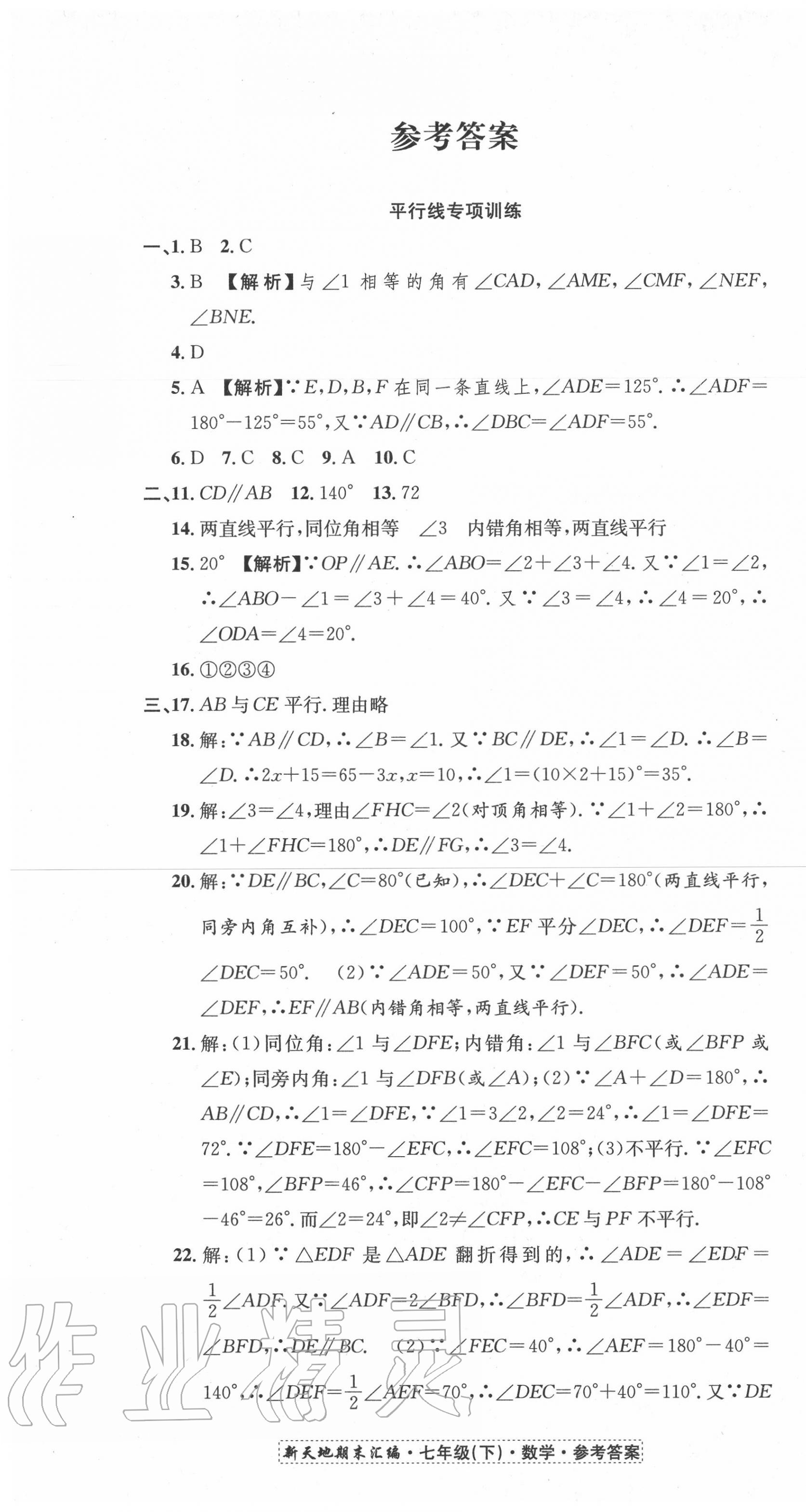 2020年新天地期末大考卷浙江试卷七年级数学下册浙教版 第1页