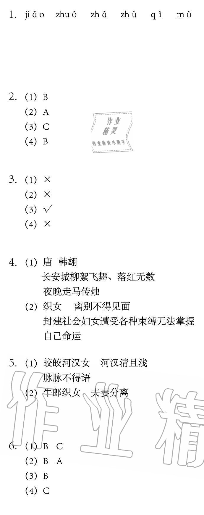 2020年长江暑假作业崇文书局六年级语文 参考答案第3页