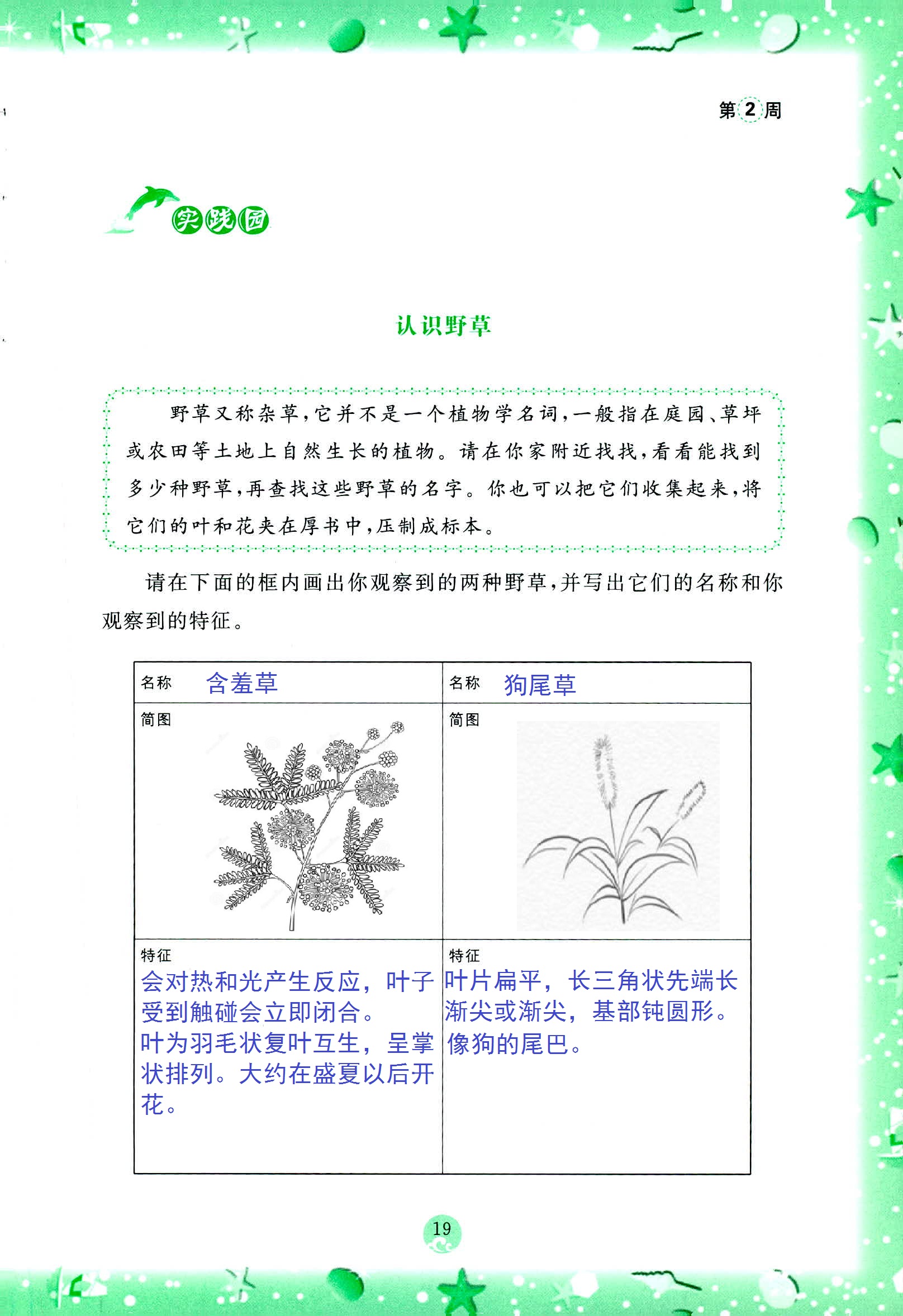 2020年小学综合暑假作业本三年级浙江教育出版社 第19页