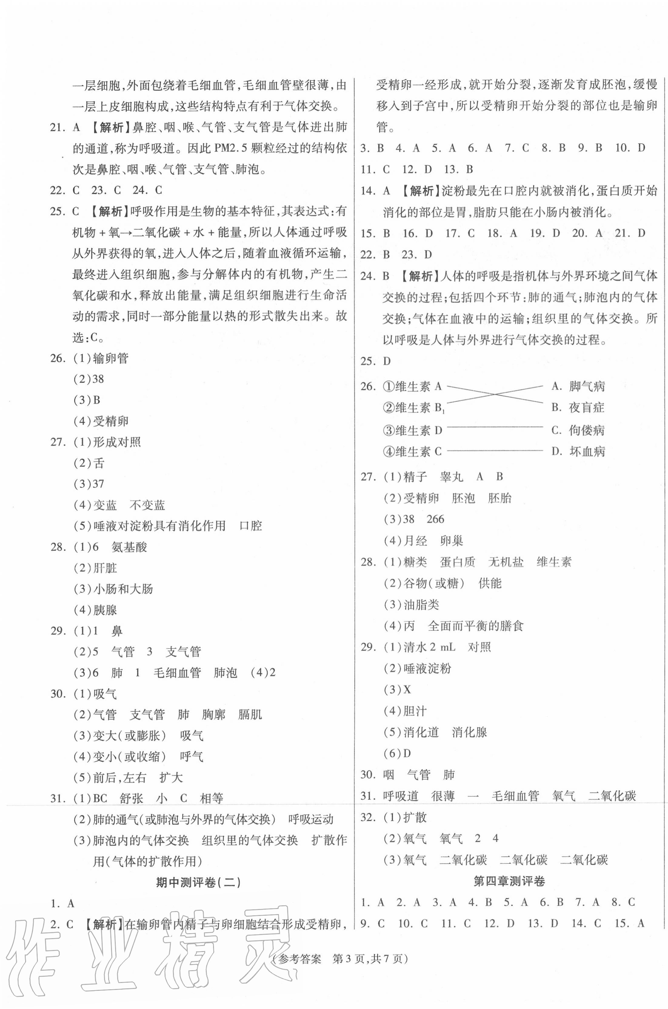 2020年智能優(yōu)選卷七年級生物下冊人教版 參考答案第3頁