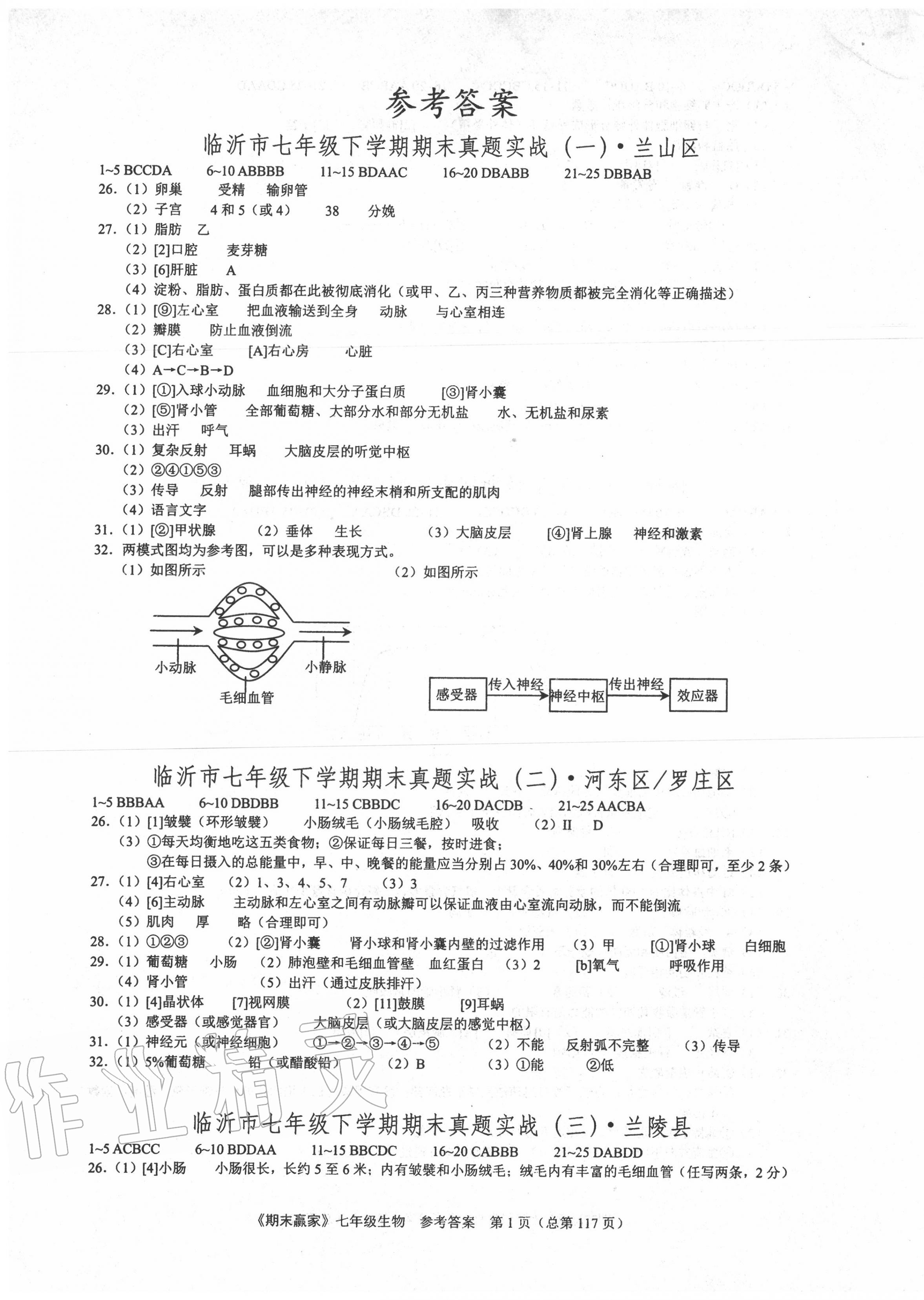 2020年期末赢家七年级生物下册人教版临沂专用 第1页