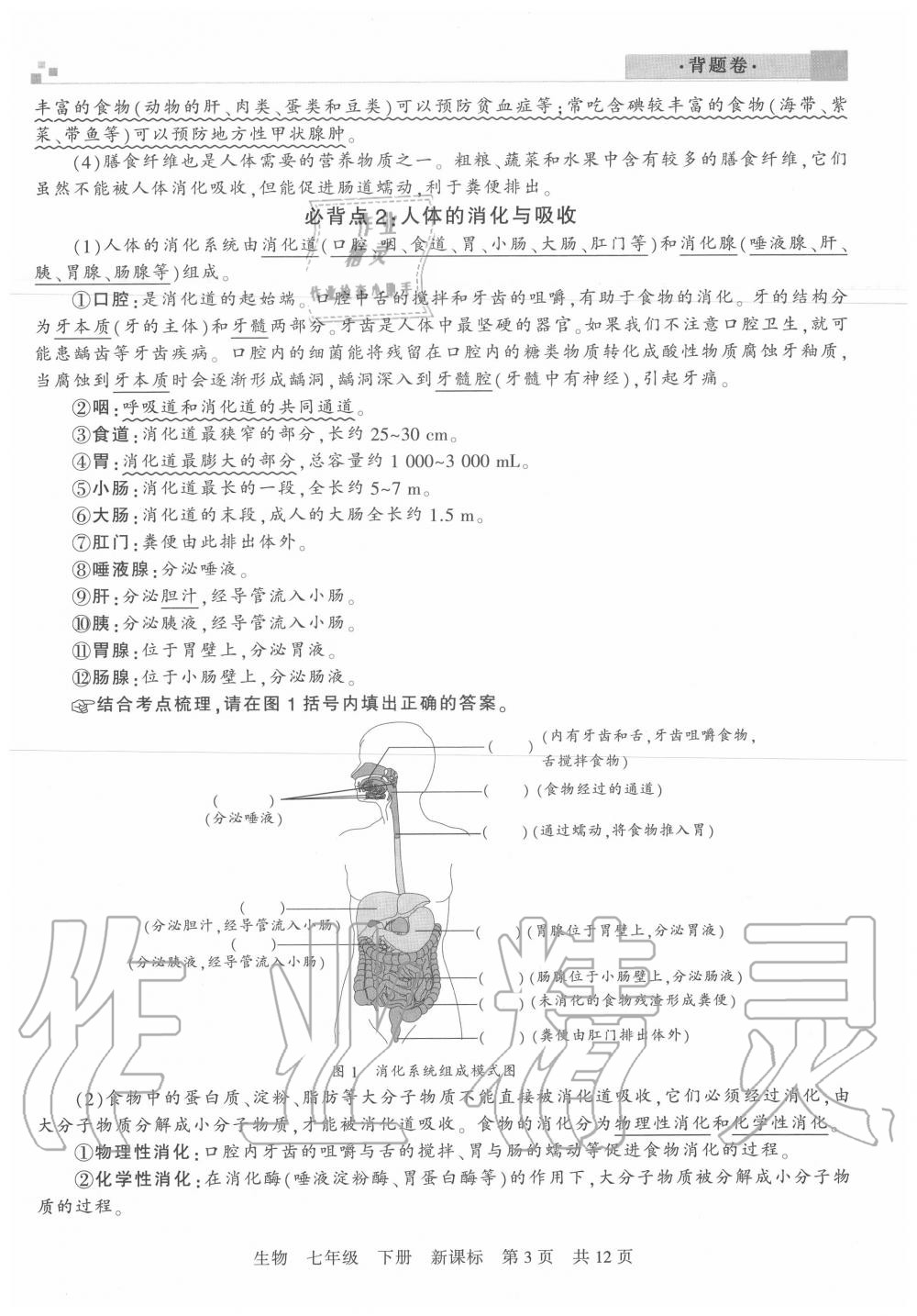 2020年王朝霞各地期末試卷精選七年級(jí)生物下冊(cè)蘇教版河南專(zhuān)版 第3頁(yè)