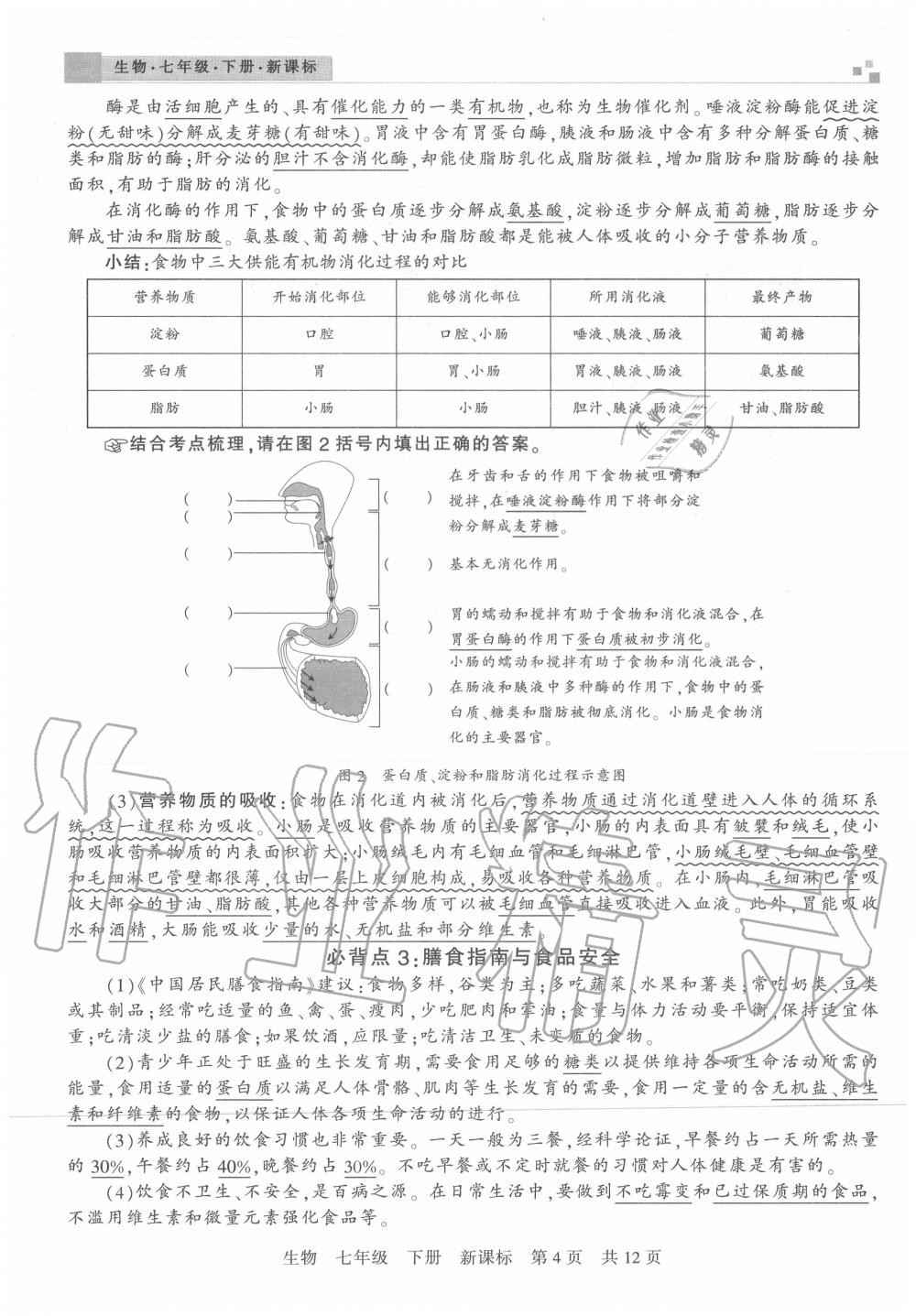 2020年王朝霞各地期末试卷精选七年级生物下册苏教版河南专版 第4页