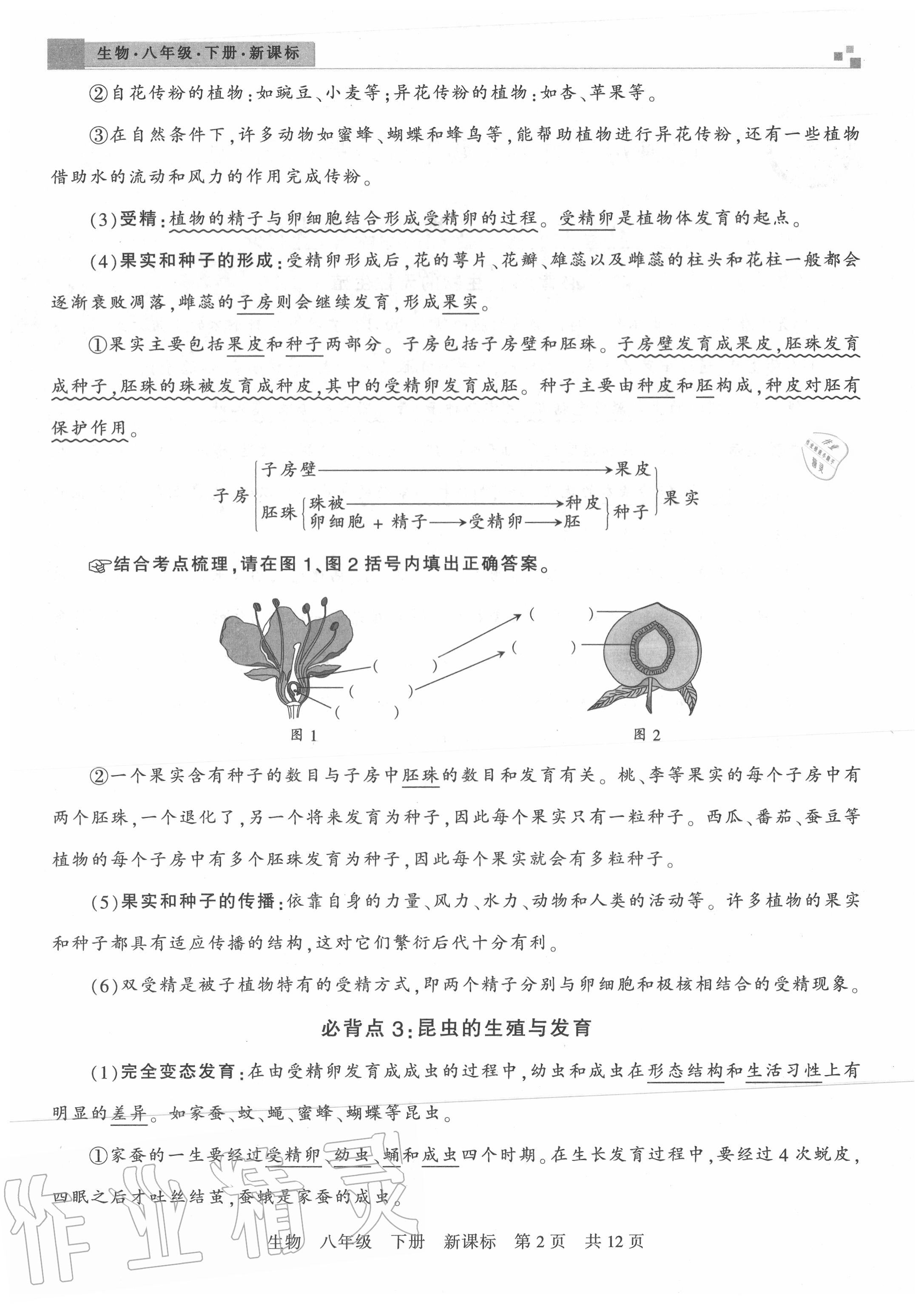 2020年王朝霞各地期末試卷精選八年級生物下冊蘇教版河南專版 第2頁