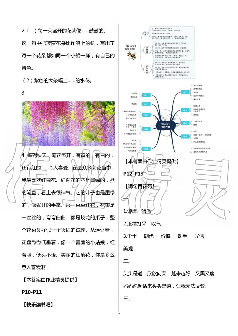 2020年暑假學(xué)習(xí)樂園浙江科學(xué)技術(shù)出版社三年級(jí)語文 第2頁