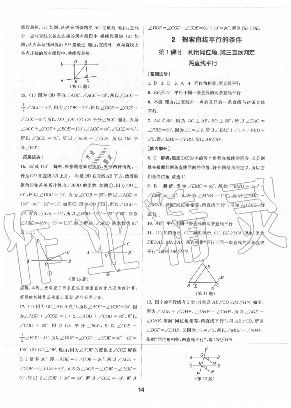 2020年拔尖特訓(xùn)七年級數(shù)學(xué)下冊北師大版 參考答案第13頁