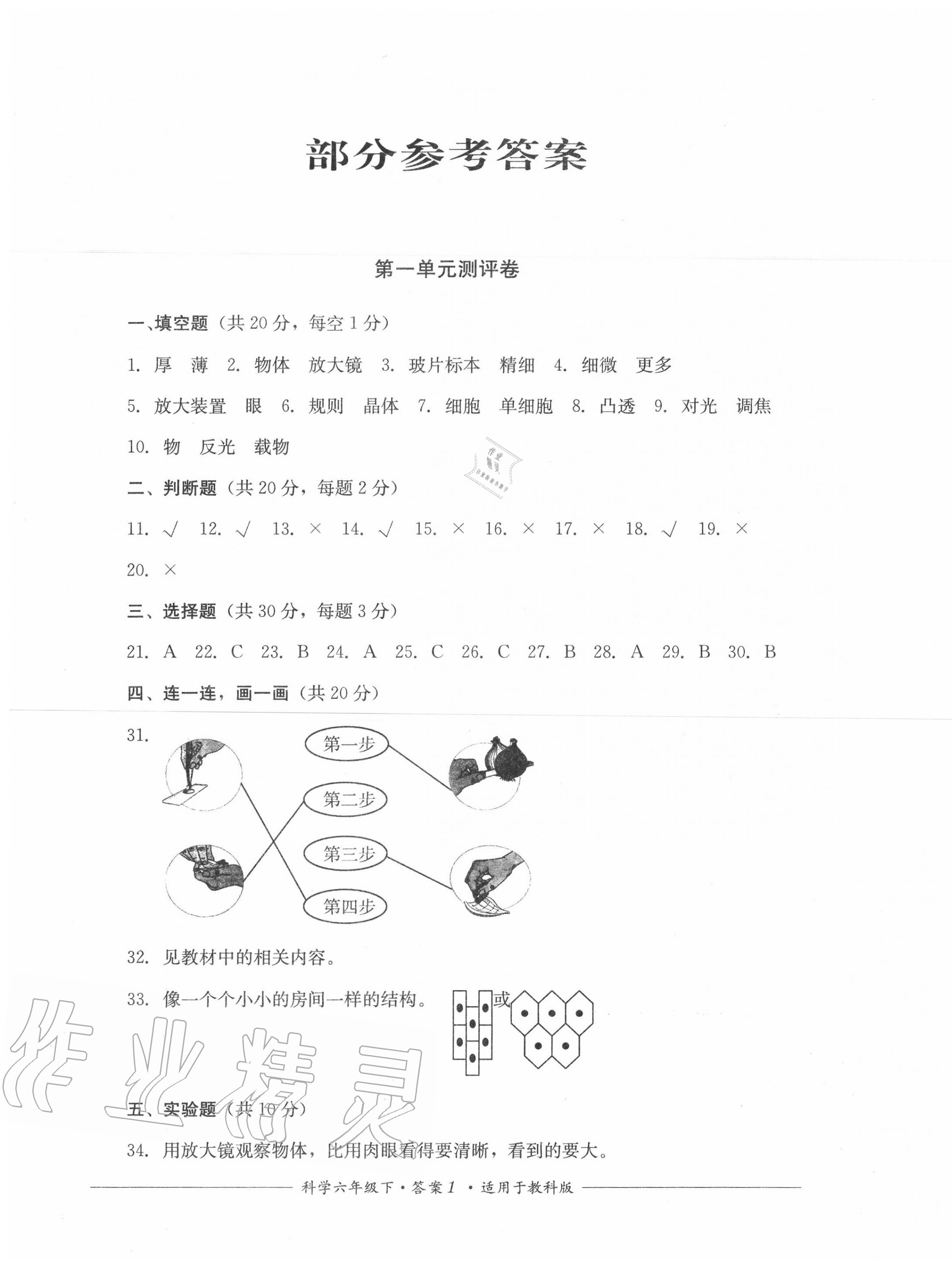 2020年單元測評六年級科學下冊教科版四川教育出版社 第1頁