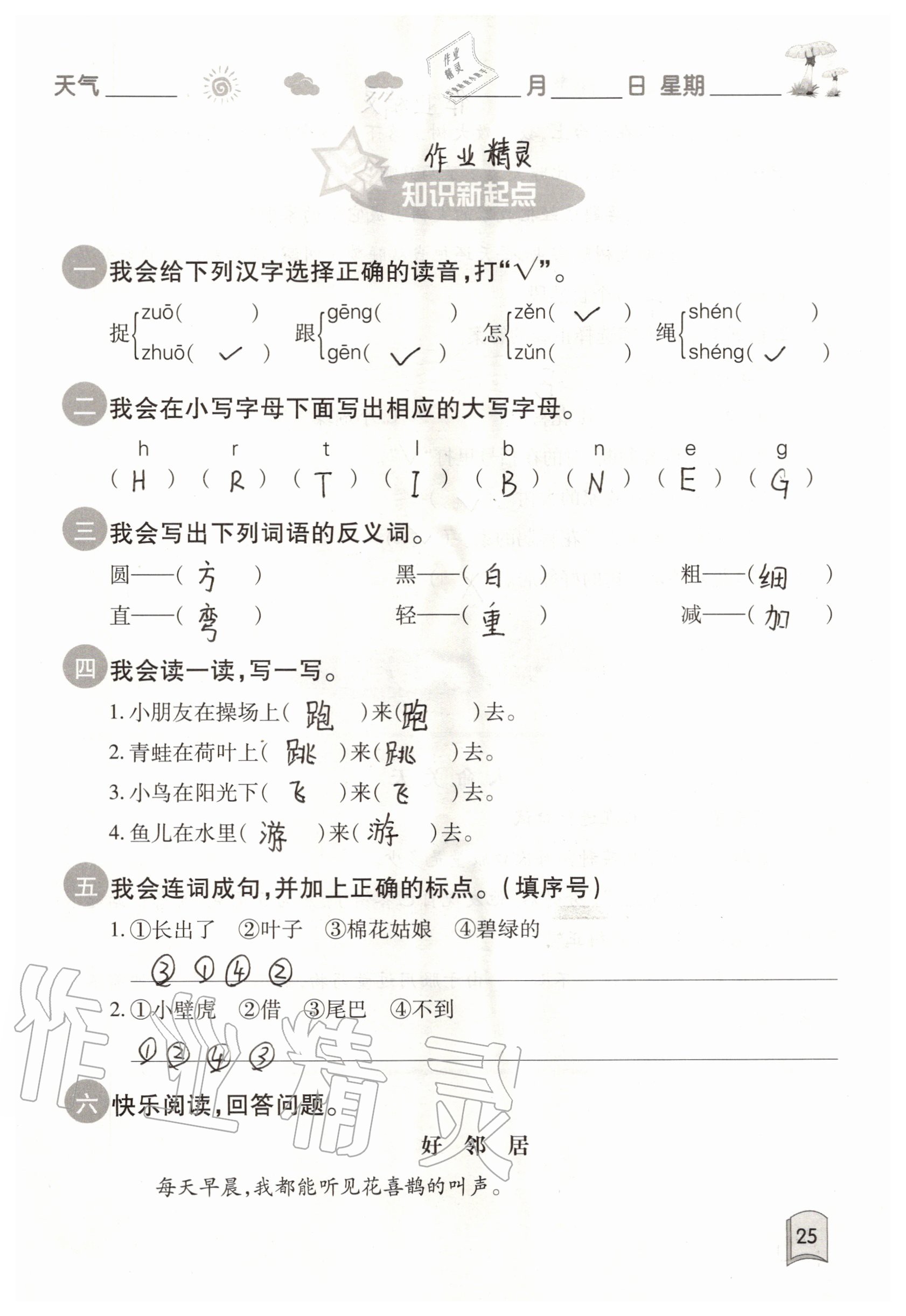 2020年快樂暑假一年級合訂本升級版紅星電子音像出版社 參考答案第25頁