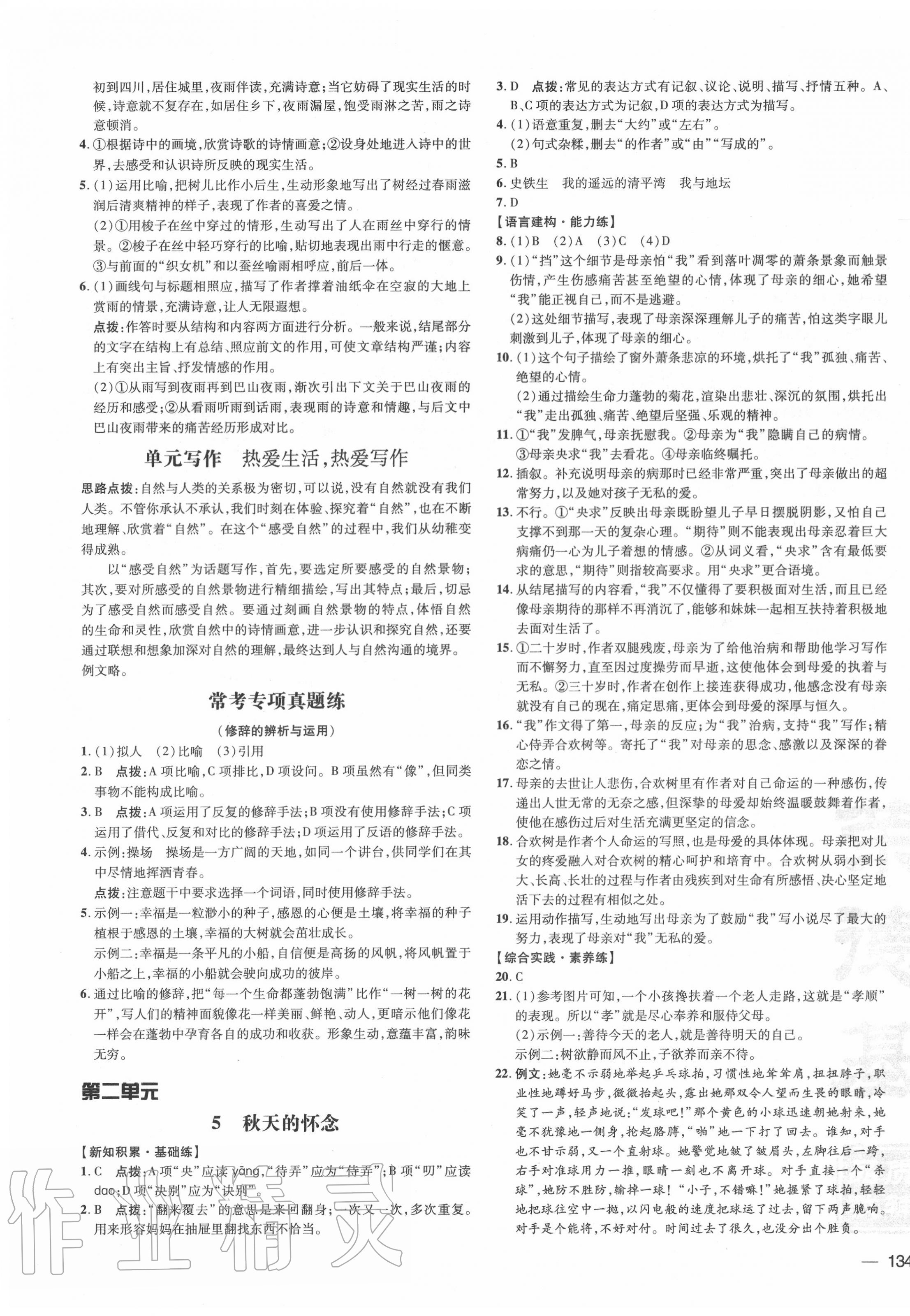 2020年點(diǎn)撥訓(xùn)練七年級語文上冊人教版 參考答案第3頁