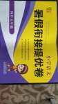 2020年小學(xué)語文暑假銜接提優(yōu)卷四升五年級(jí)