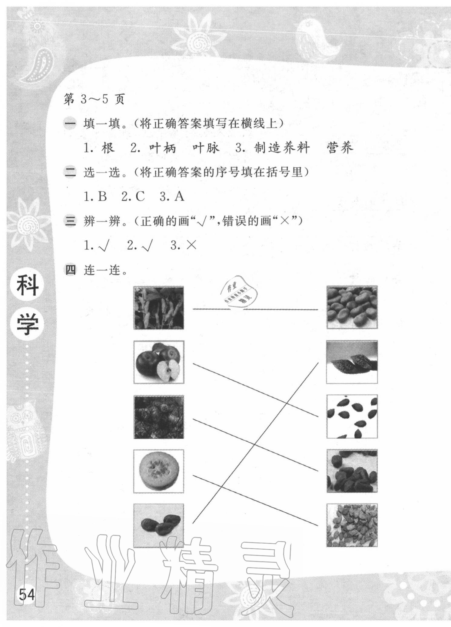 2020年暑假作業(yè)三年級科學(xué)蘇教版安徽少年兒童出版社 第3頁