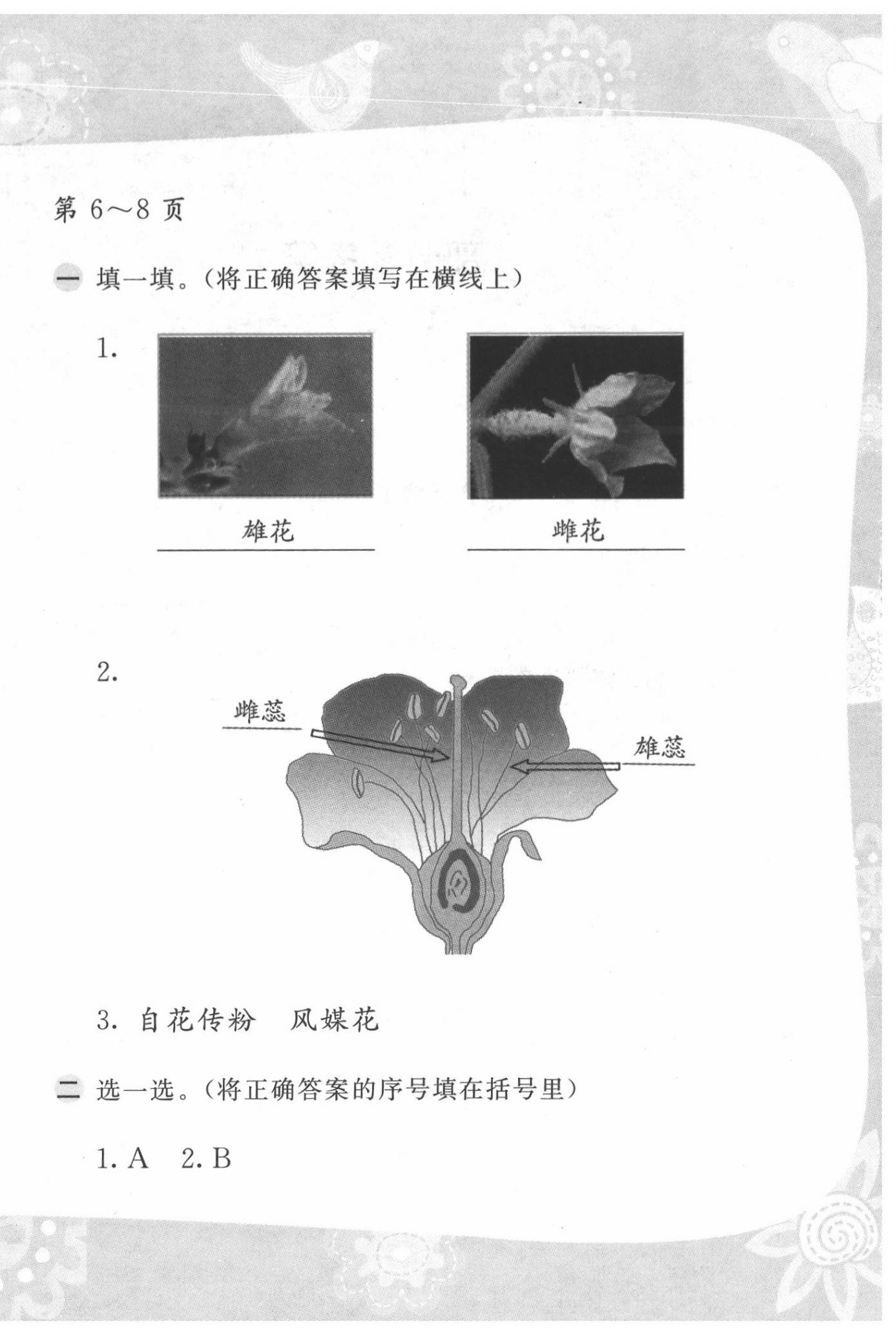 2020年暑假作業(yè)三年級(jí)科學(xué)蘇教版安徽少年兒童出版社 第4頁(yè)