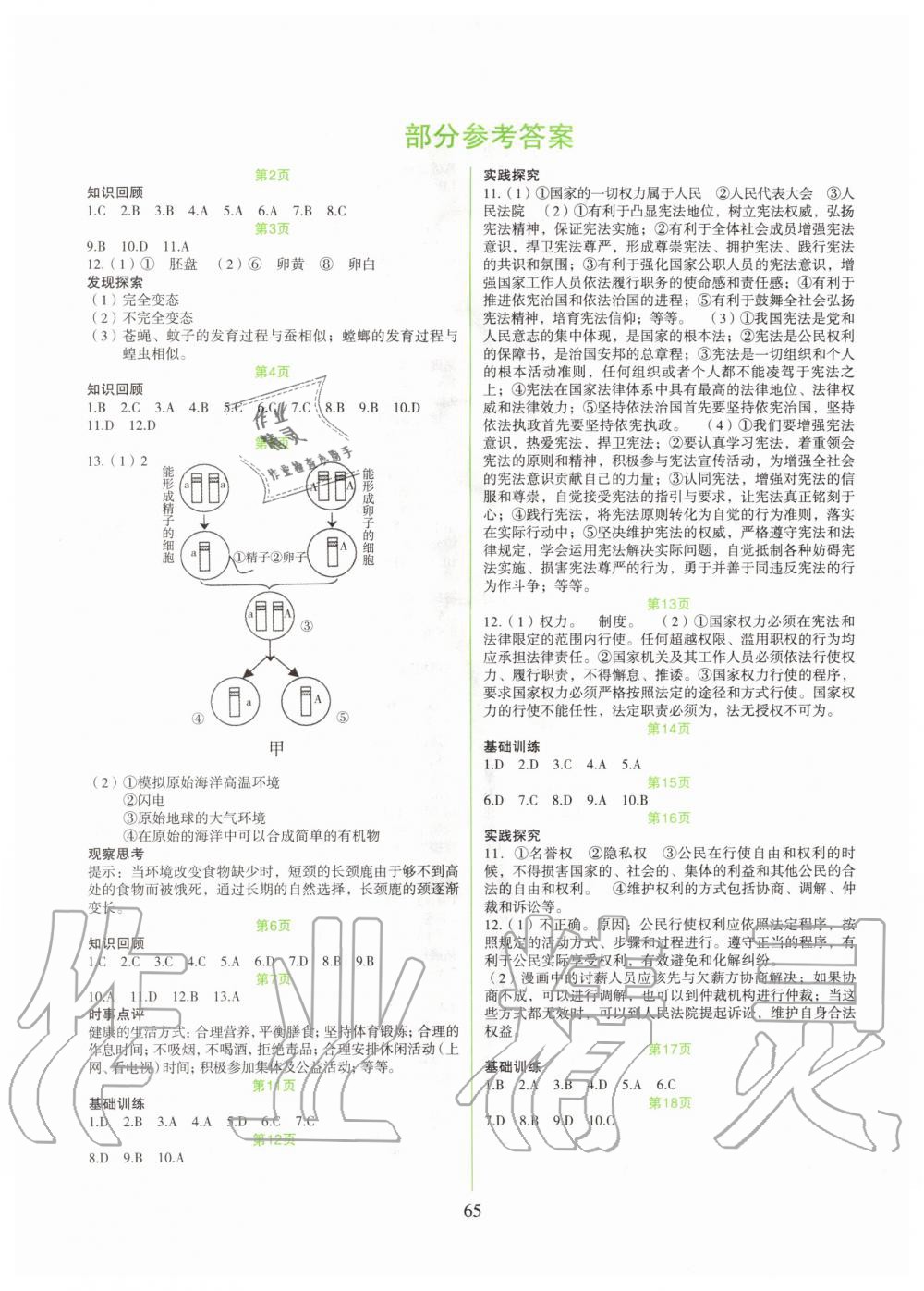 2020年假日綜合八年級吉林出版集團有限責(zé)任公司 第1頁