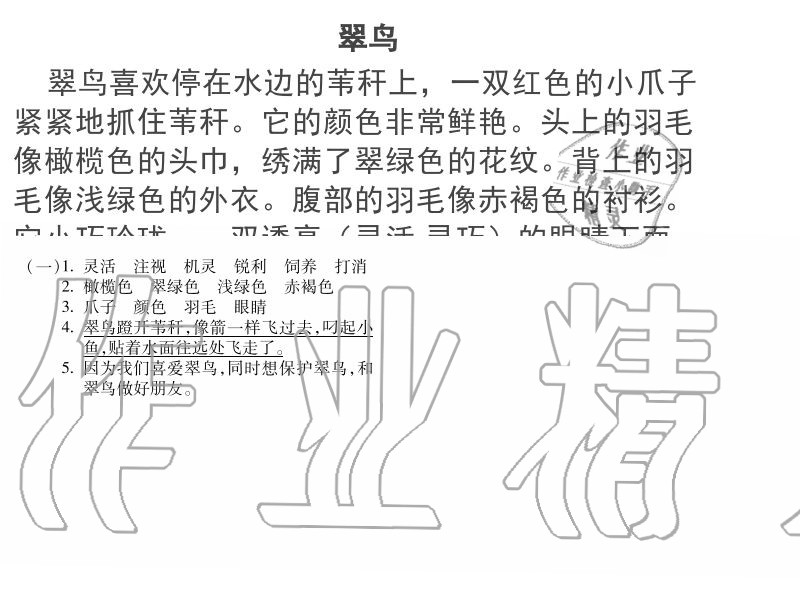 2020年世超金典育文樂園三年級下冊雙色版 參考答案第3頁