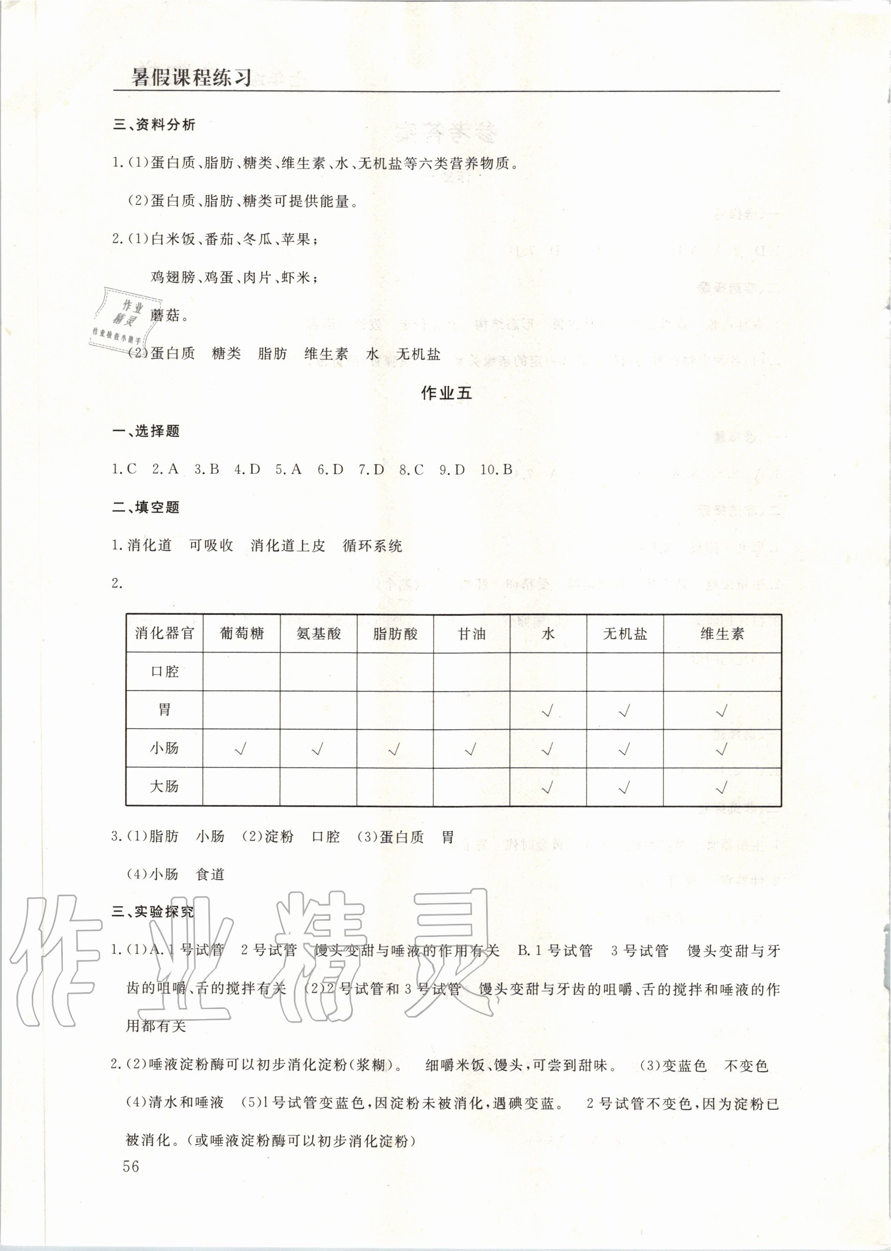 2020年暑假課程練習(xí)七年級生物南方出版社 第2頁