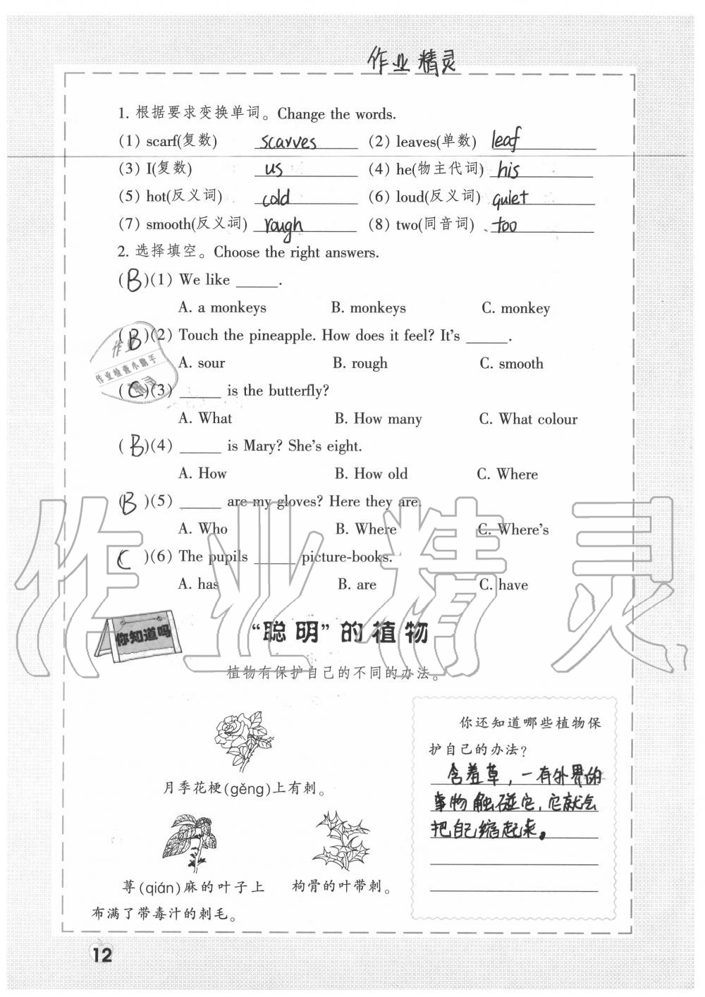 2020年暑假生活三年級(jí) 參考答案第12頁(yè)