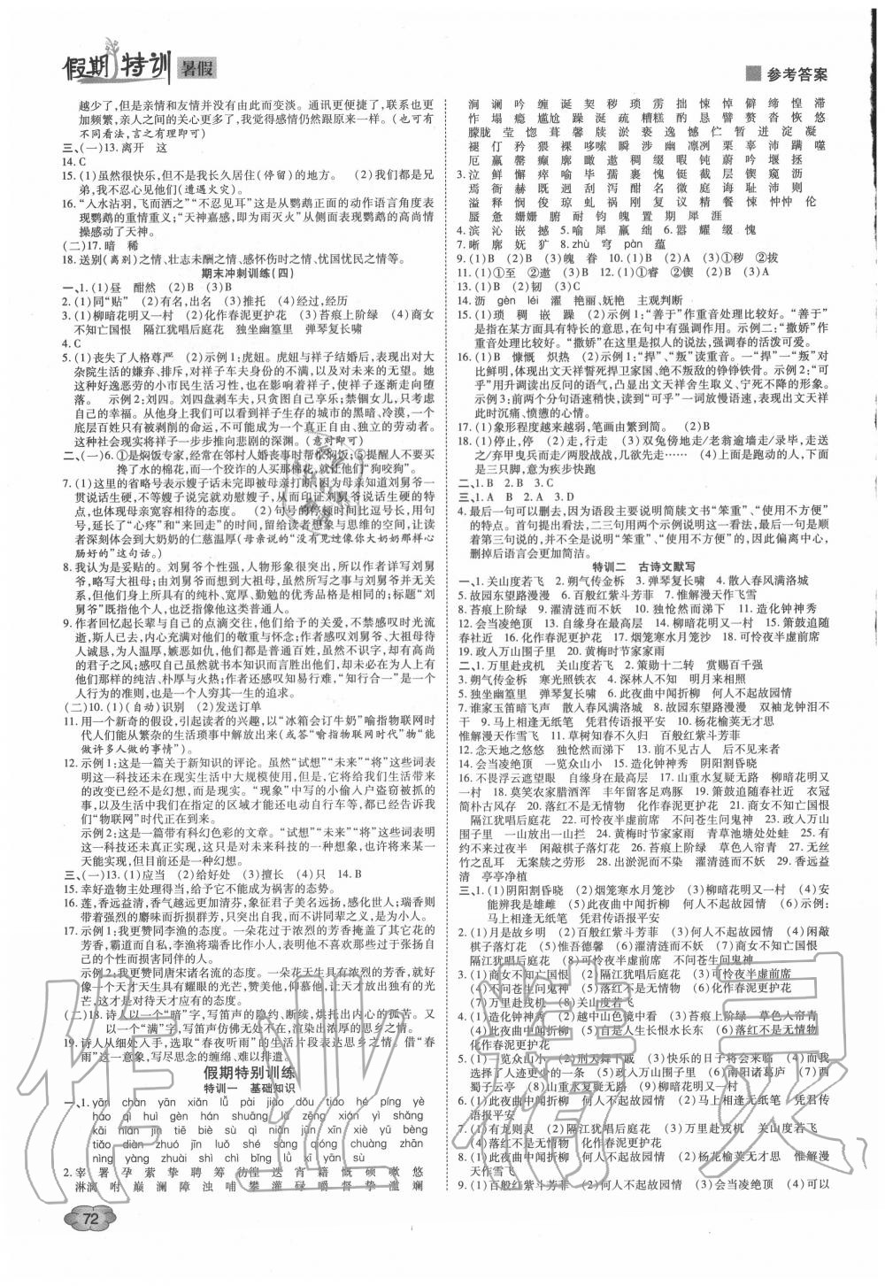 2020年假期特訓(xùn)學(xué)期總復(fù)習(xí)七年級語文 第2頁