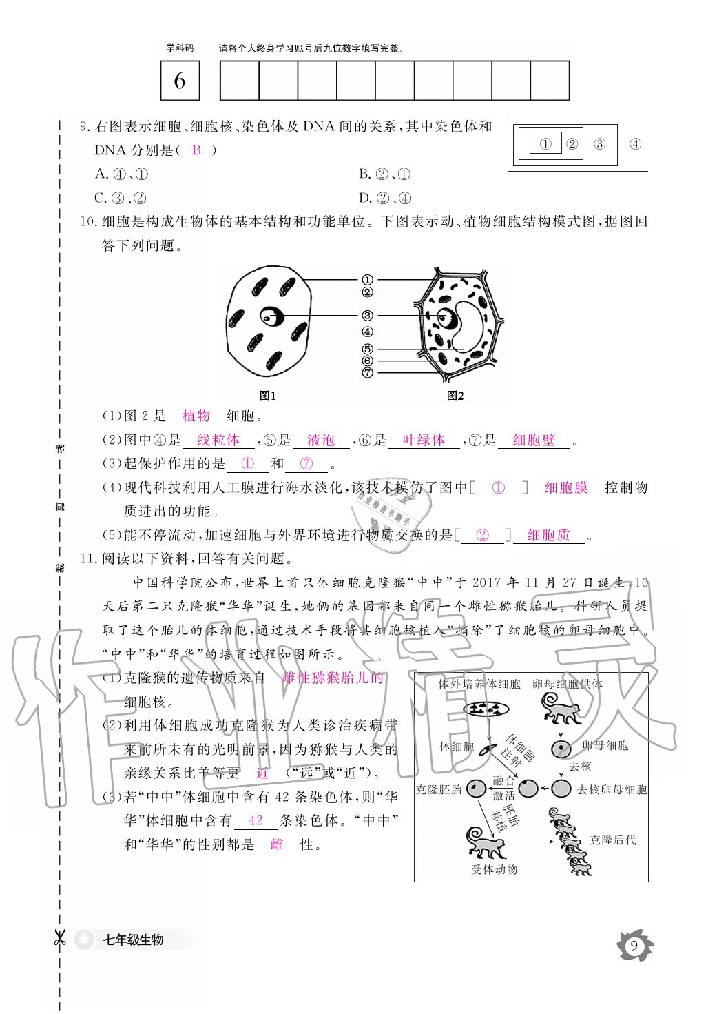 2020年生物作業(yè)本七年級上冊冀少版江西教育出版社 參考答案第9頁