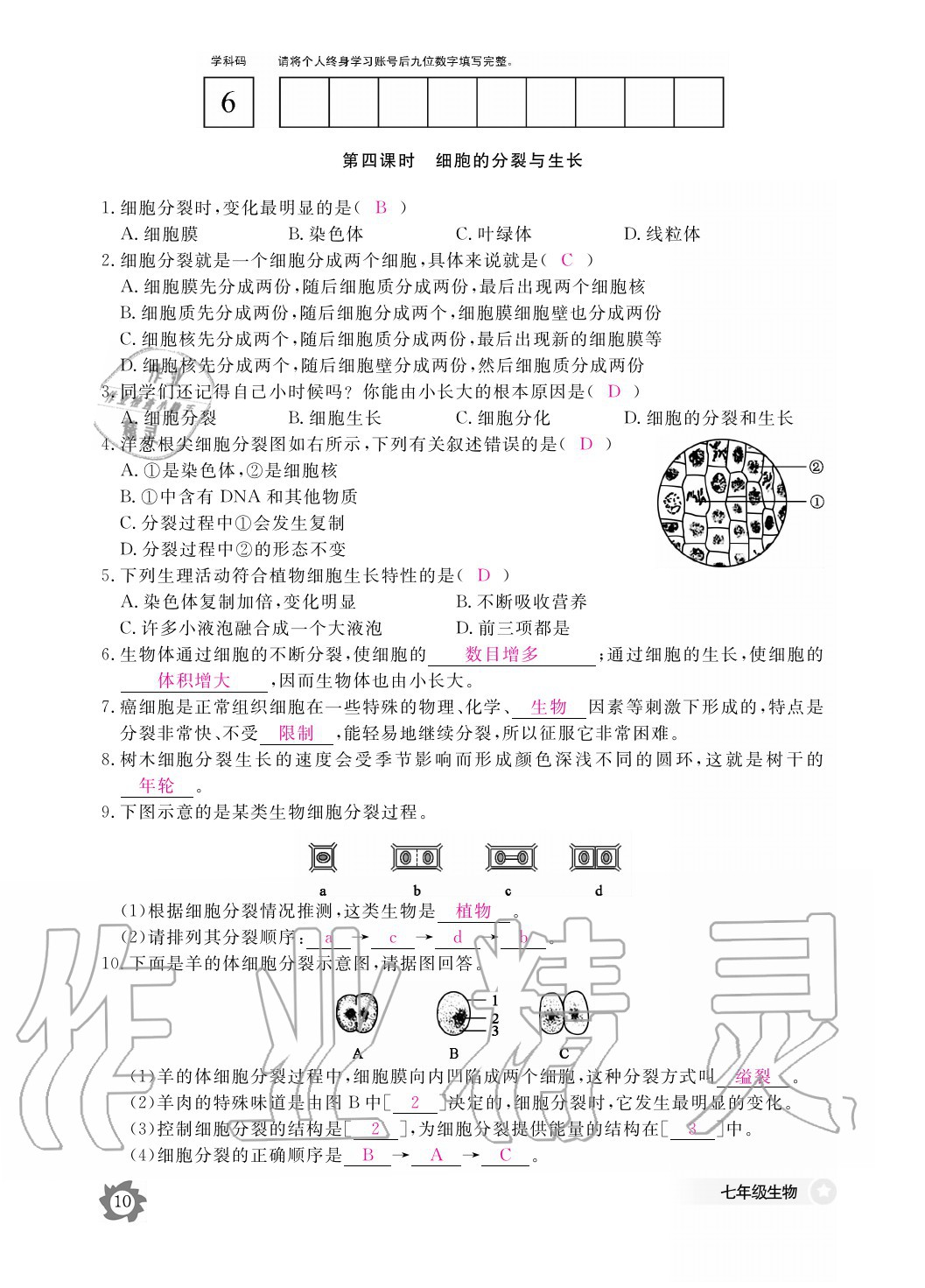 2020年生物作業(yè)本七年級上冊冀少版江西教育出版社 參考答案第10頁