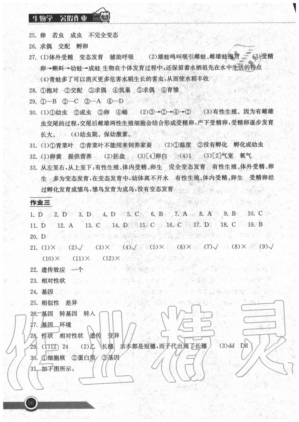 2020年长江作业本暑假作业八年级生物学人教版湖北教育出版社 第2页