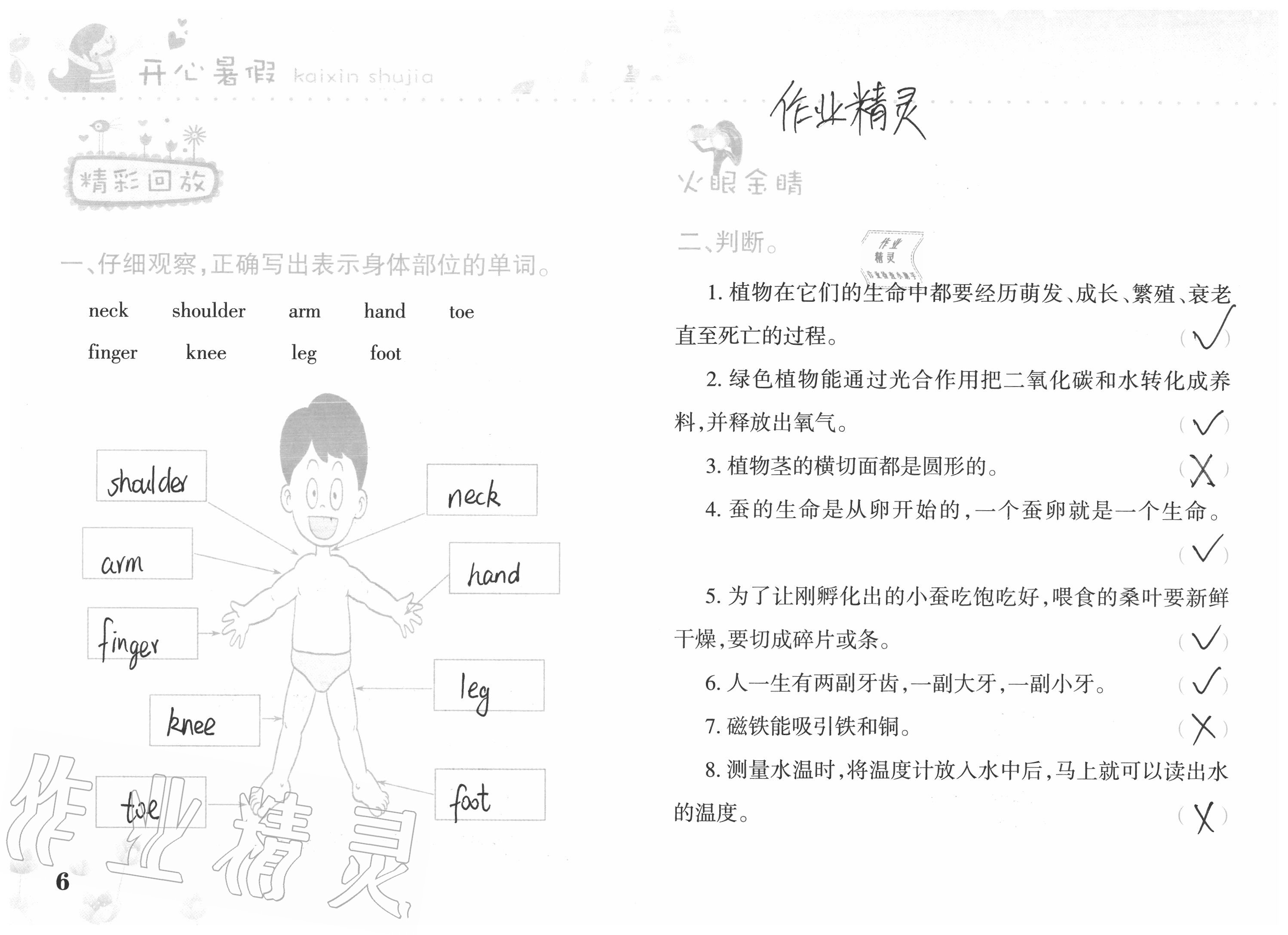 2020年开心暑假三年级合订本西南师范大学出版社 参考答案第5页