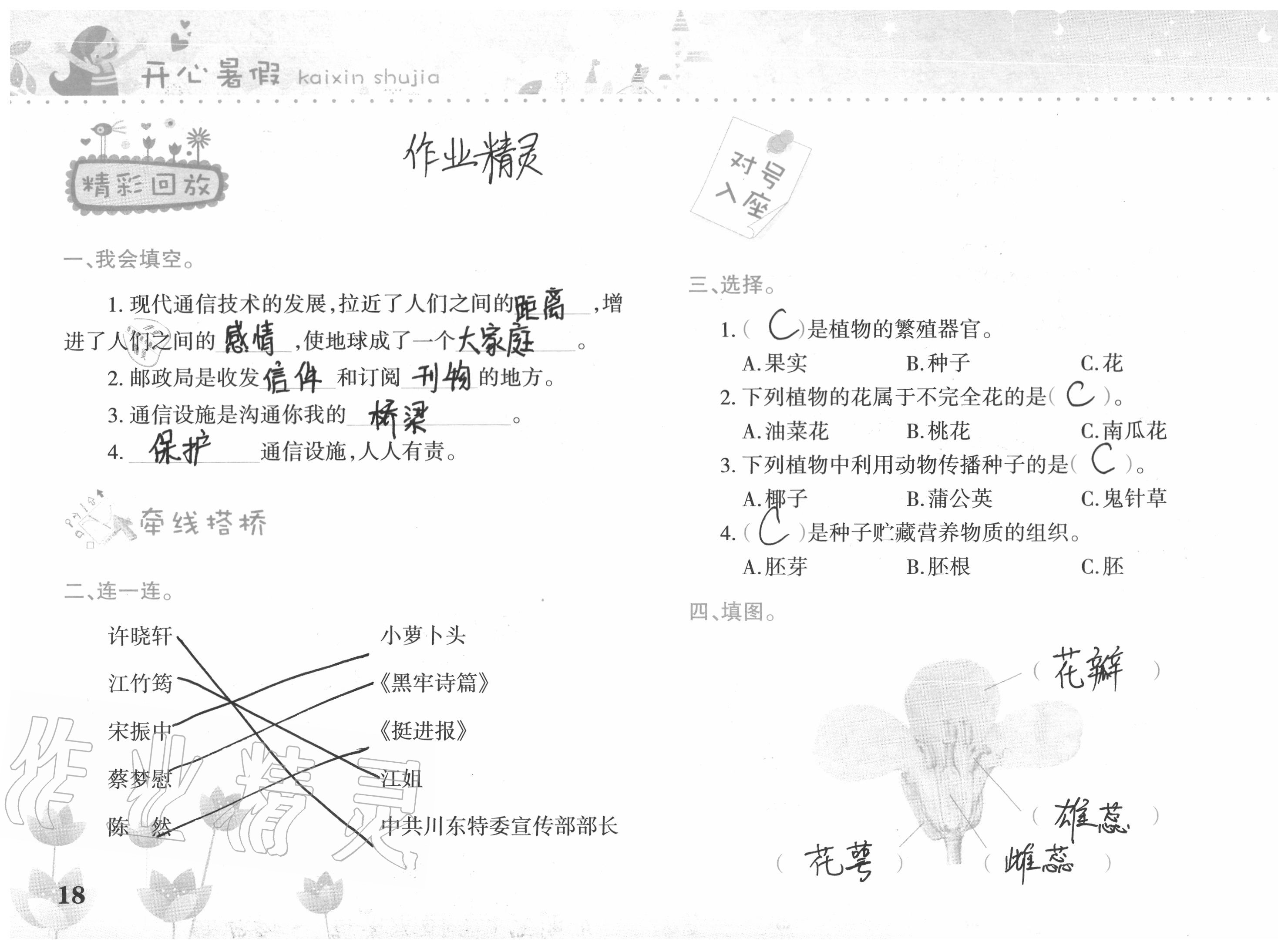 2020年开心暑假四年级合订本西南师范大学出版社 参考答案第18页