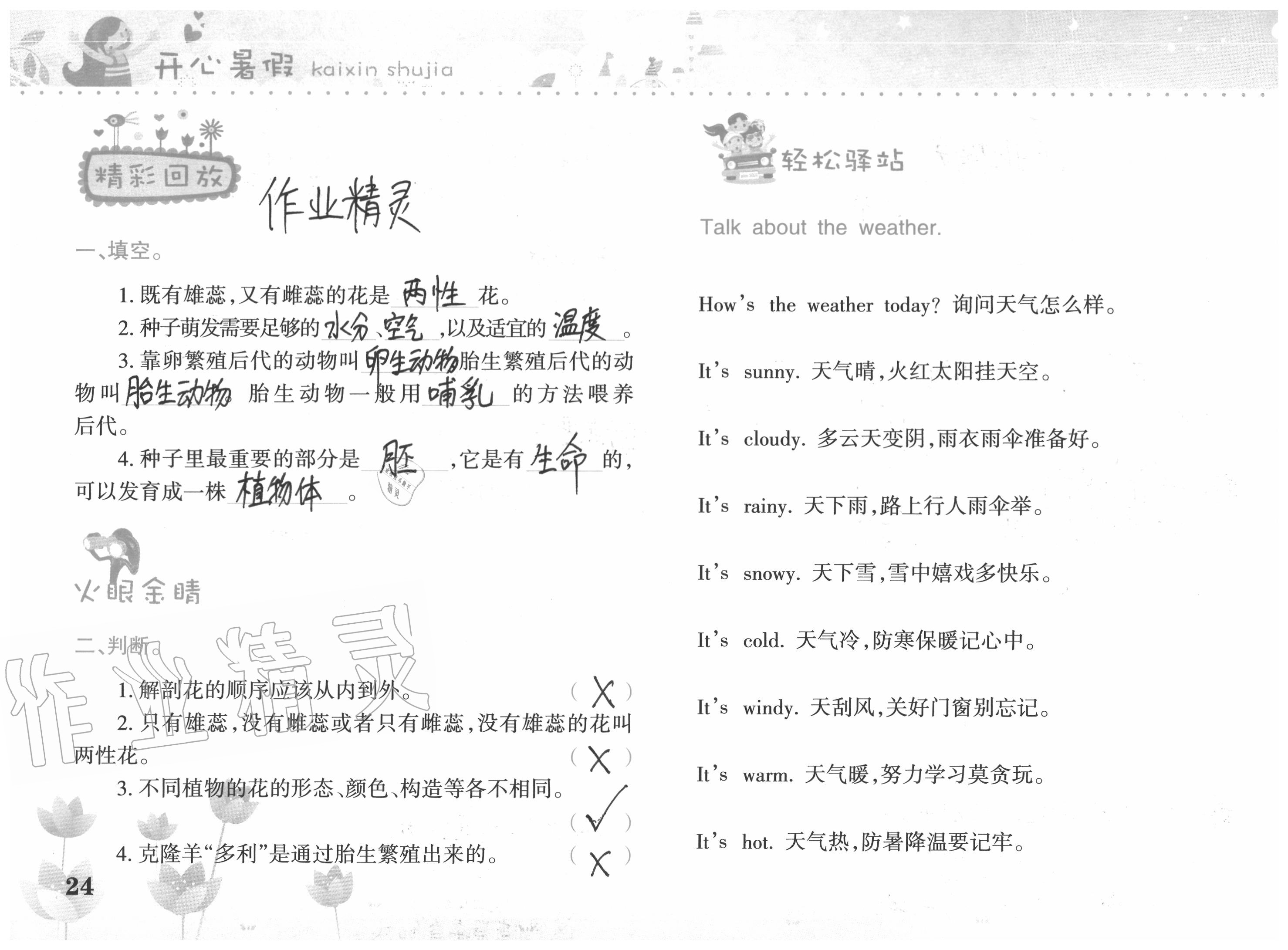 2020年开心暑假四年级合订本西南师范大学出版社 参考答案第24页