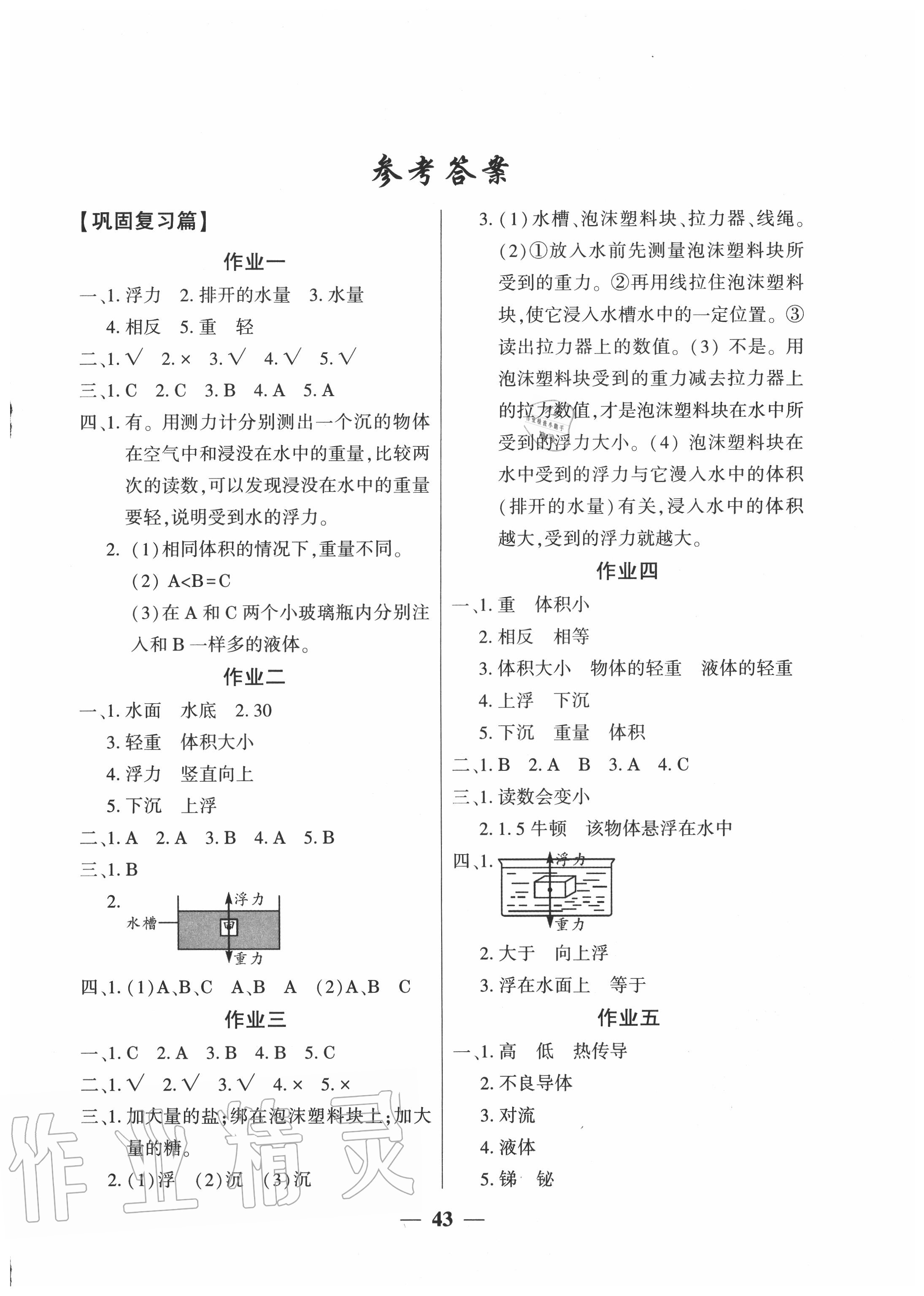 2020年金峰教育开心作业暑假作业五年级科学教科版 参考答案第1页