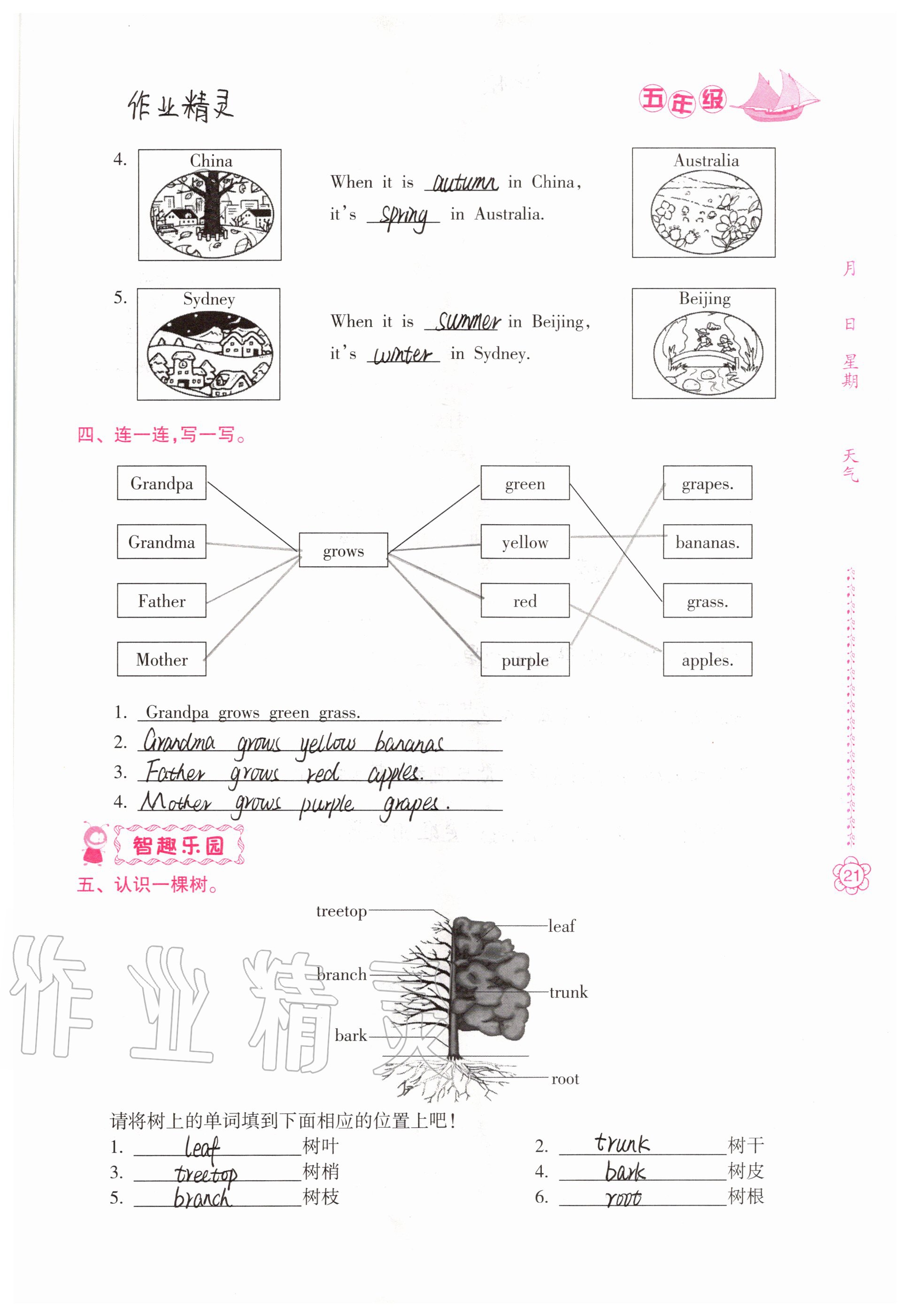 2020年暑假作业五年级南方日报出版社 参考答案第20页