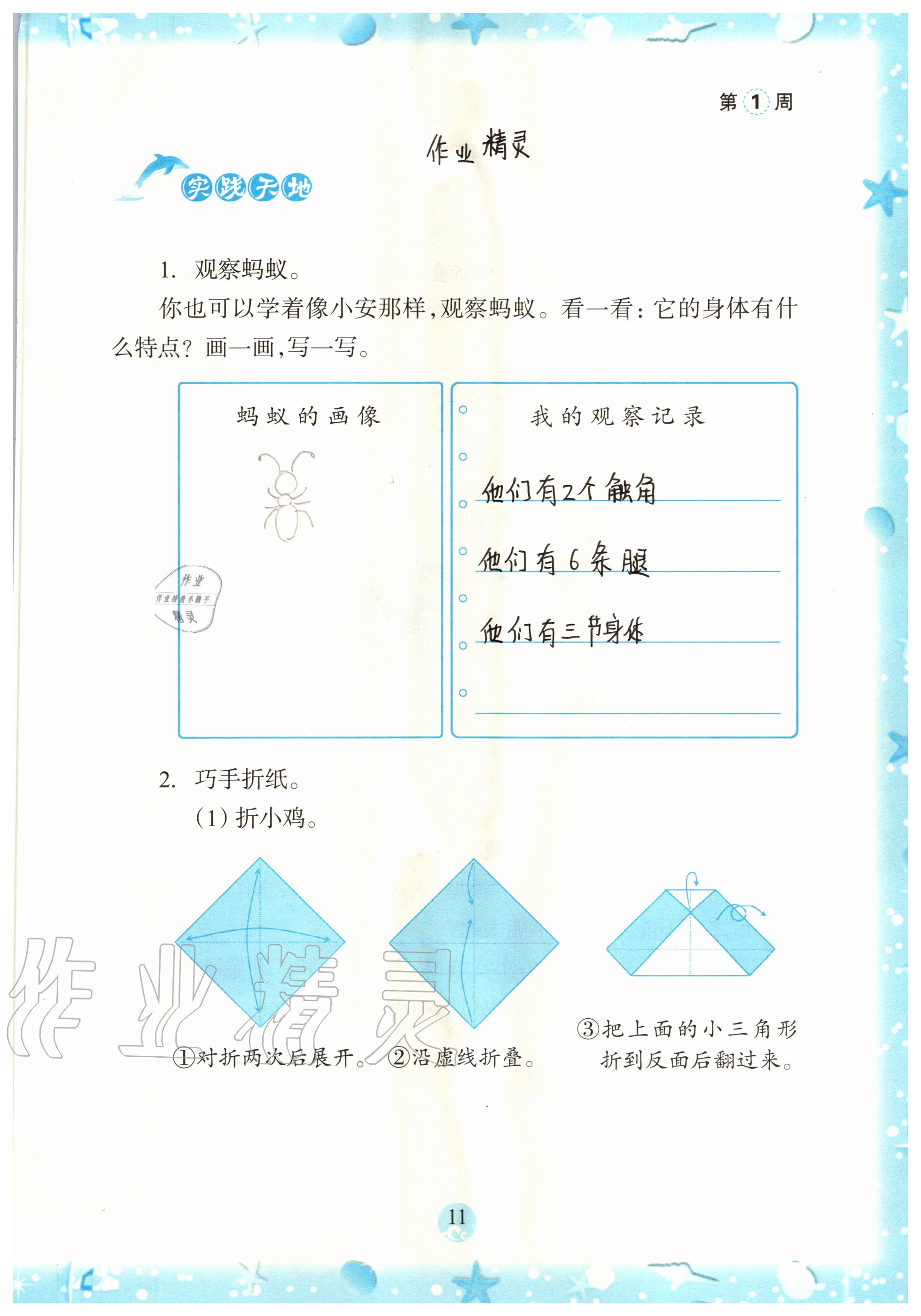 2020年小學(xué)綜合暑假作業(yè)本二年級浙江教育出版社 參考答案第11頁