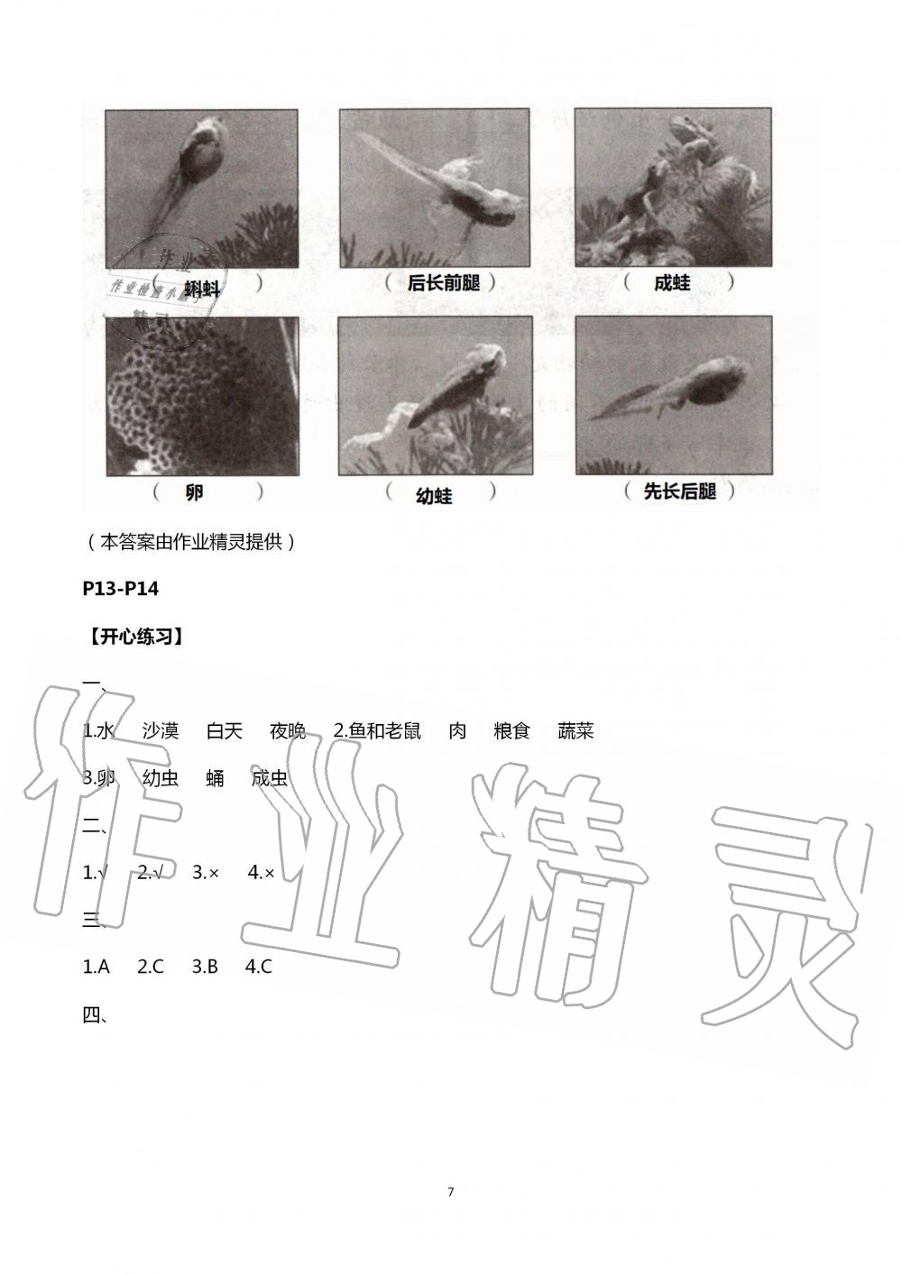 2020年长江暑假作业五年级科学崇文书局 第7页