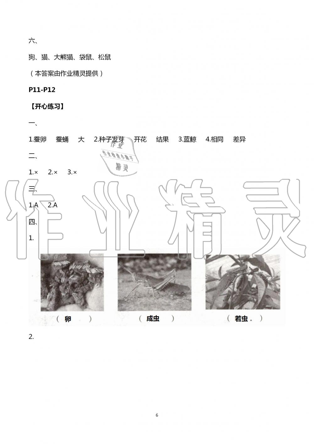 2020年长江暑假作业五年级科学崇文书局 第6页