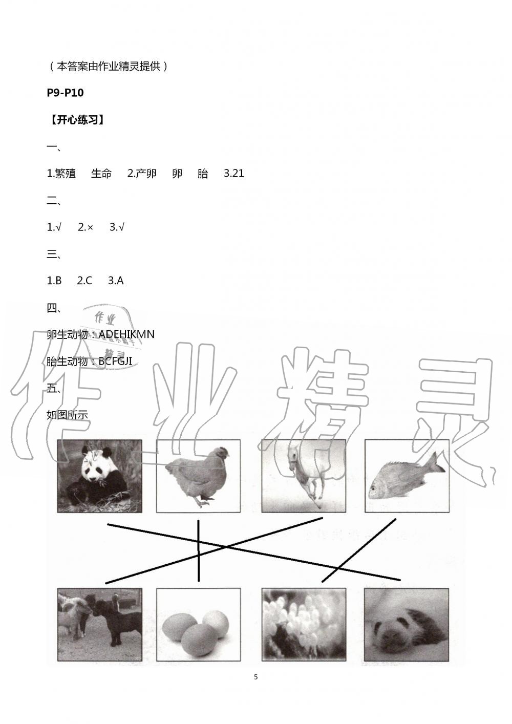 2020年长江暑假作业五年级科学崇文书局 第5页