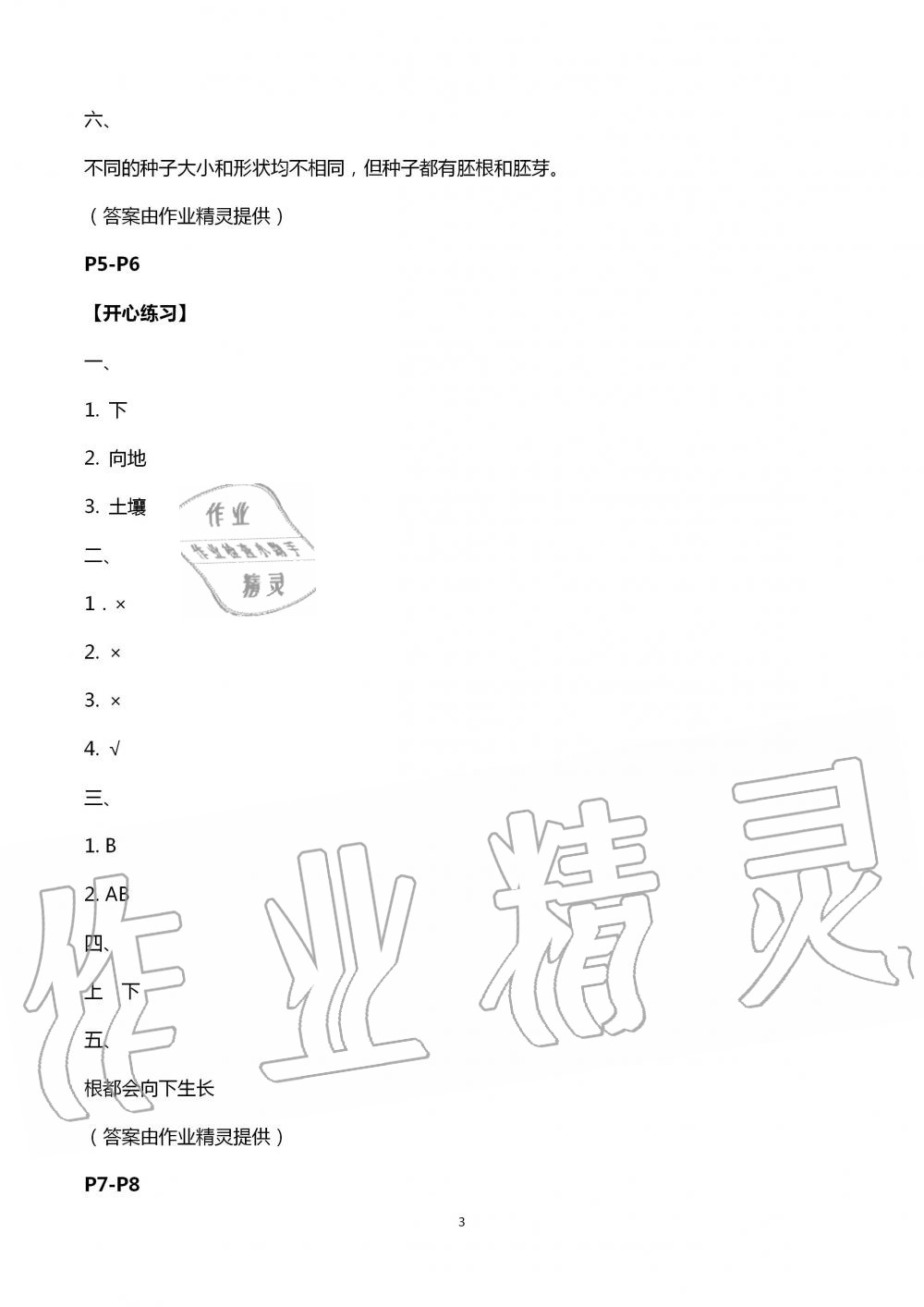 2020年长江暑假作业四年级科学崇文书局 第3页