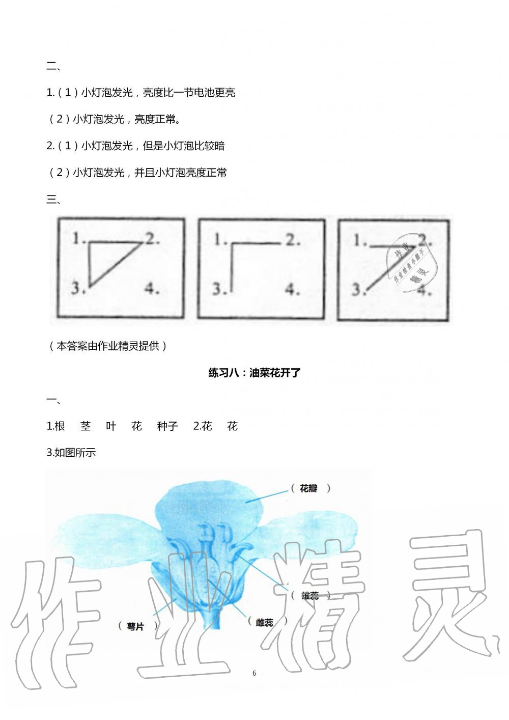 2020年暑假作业四年级科学教科版教育科学出版社 第6页