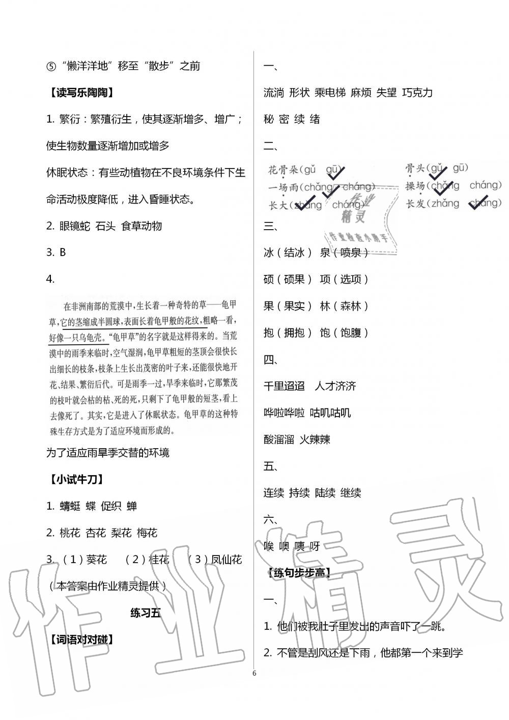 2020年暑假生活三年级综合镇江专版教育科学出版社 第6页