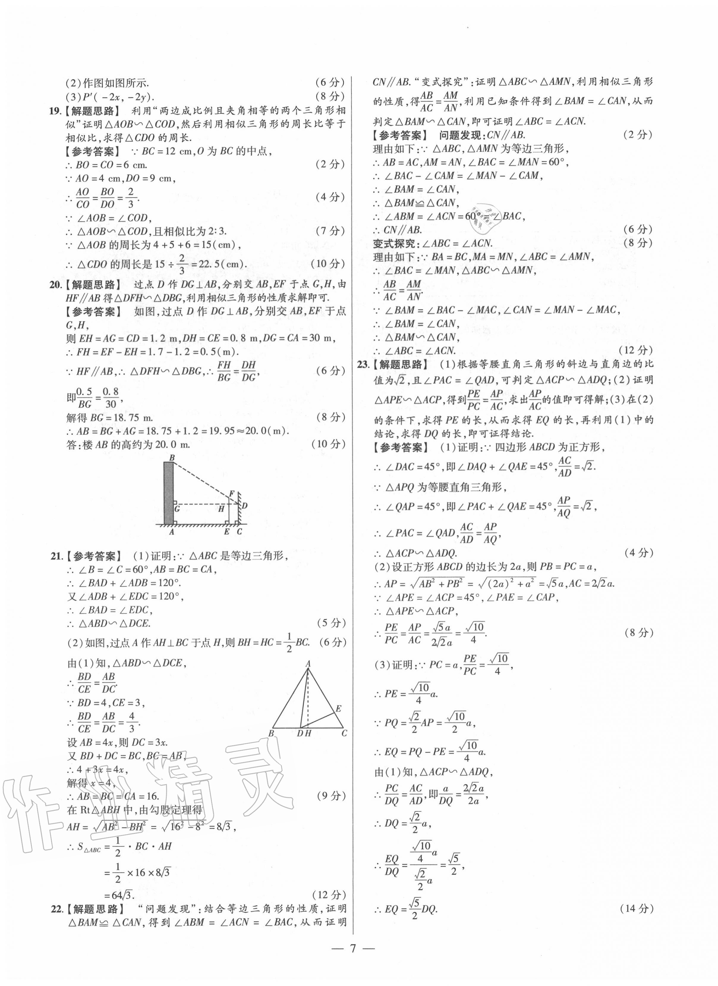 2020年金考卷活頁題選九年級數(shù)學(xué)全一冊滬科版 參考答案第7頁