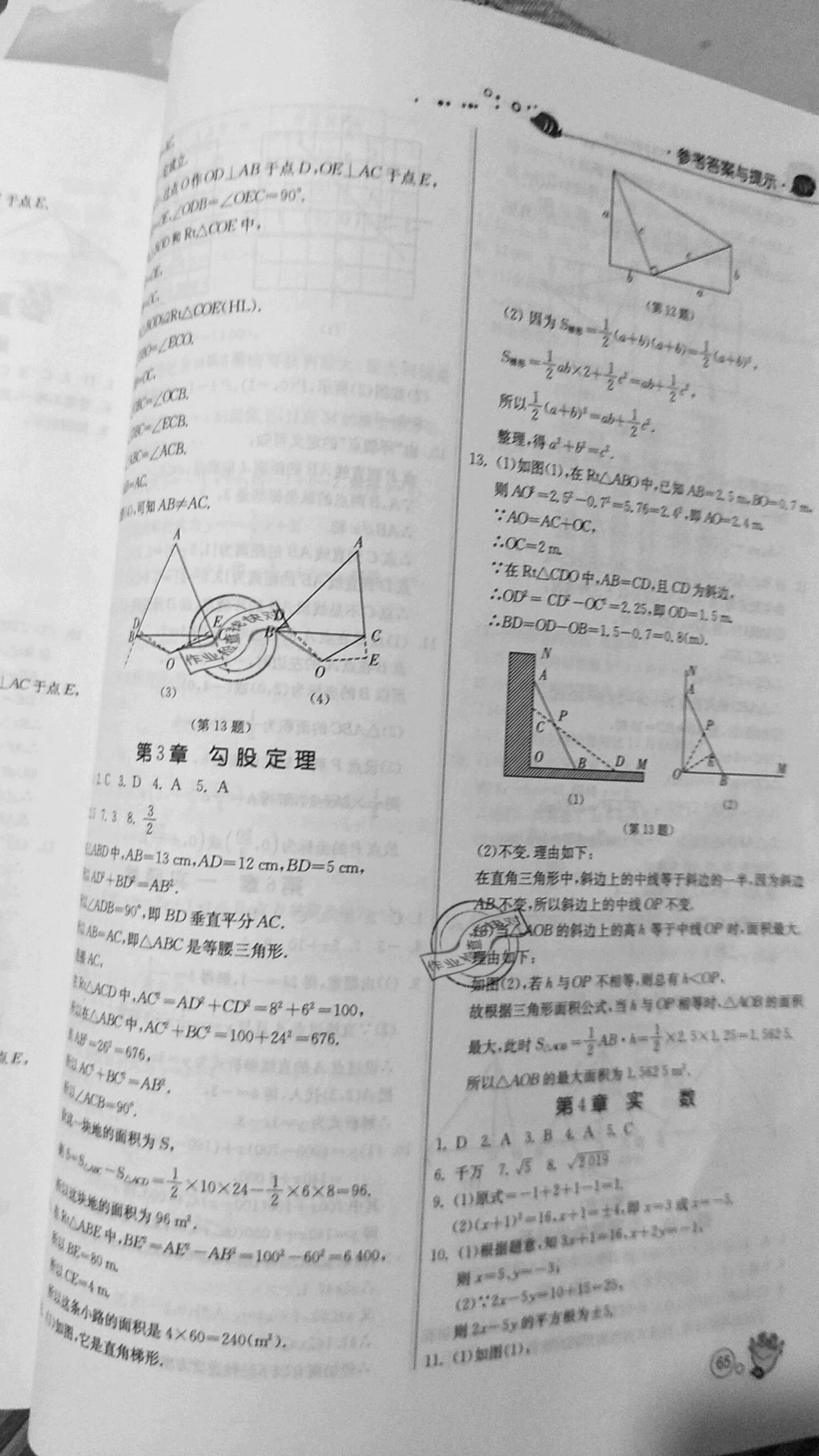 2020年快乐暑假八年级数学苏科版江苏人民出版社 第3页